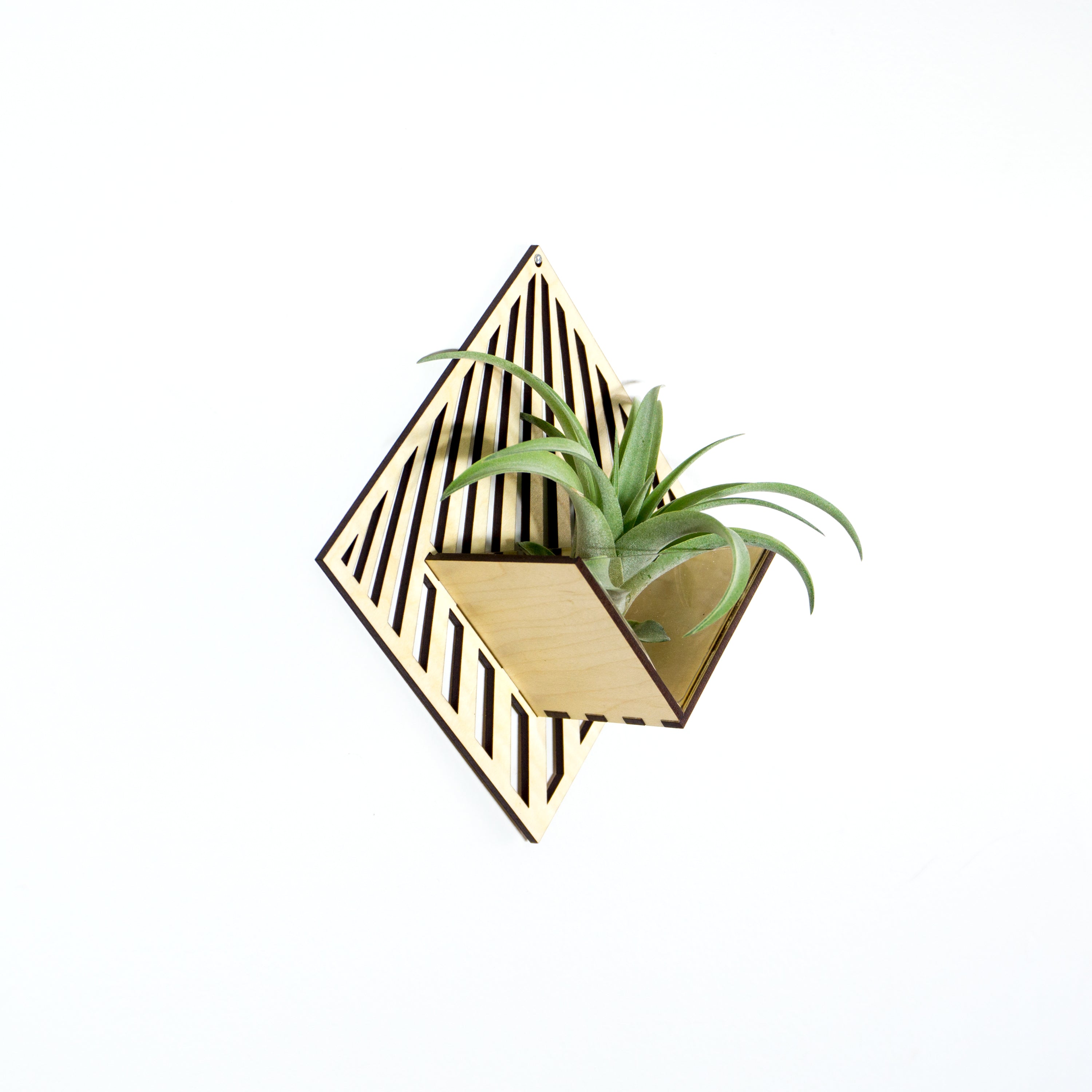 Handmade Wooden Quadrate Wall Planter - Air Plant Holder & Mounted Hanger Display for Tillandsia | Unique Home Decor Gift for Plant Lovers | Perfect for Living Room, Bedroom & Office Decor