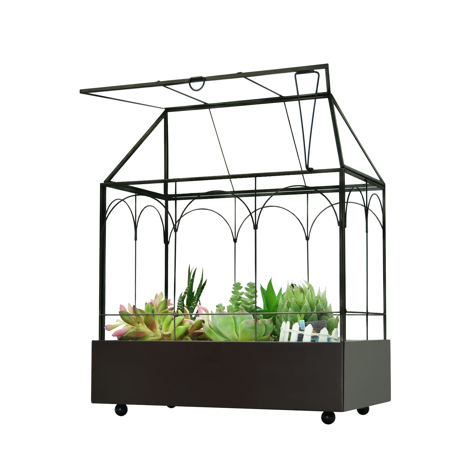 Large Tall Glass Plant Terrarium for Succulents & Air Plants – 9.5”X5.7”X11.4” House Terrarium Kit with Lip and Tray | Perfect for Home Decor, Office Desk & Indoor Gardening