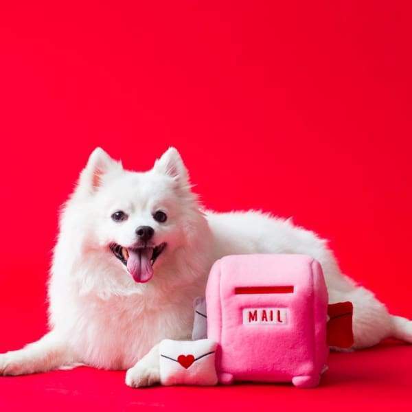 ZippyPaws Burrow Mailbox & Love Letters Plush Interactive Dog Toy - Fun Hide and Seek Game for Small & Medium Dogs - Perfect for Indoor Play & Training