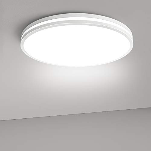 20W Daylight White / Cold White