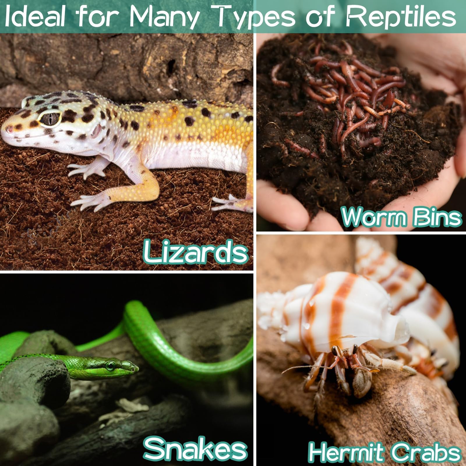 Premium 4-Pack Coconut Fiber Substrate - 100% Natural Coco Coir for Reptile Tanks, Terrariums & Aquariums | Ideal for Tortoise Habitats, Bearded Dragons, Leopard Geckos, Snakes, Tarantulas, Worm Bins & Hermit Crabs | Perfect Moisture Retention & Odor Control for Healthy Pets