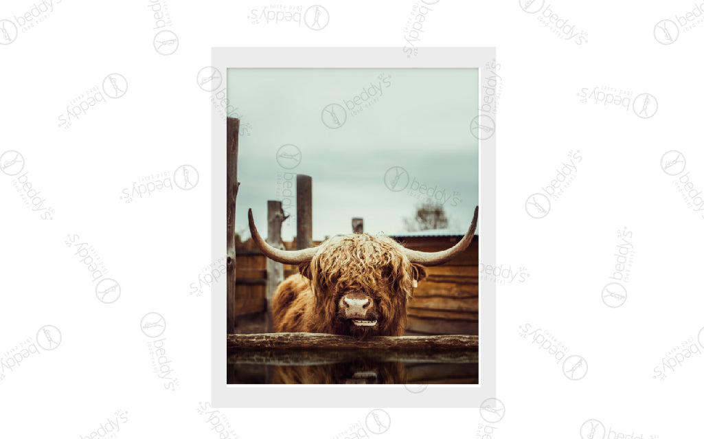 Steer Clear Artwork Digital Download - High Resolution Printable Wall Decor for Home, Office & Gifts