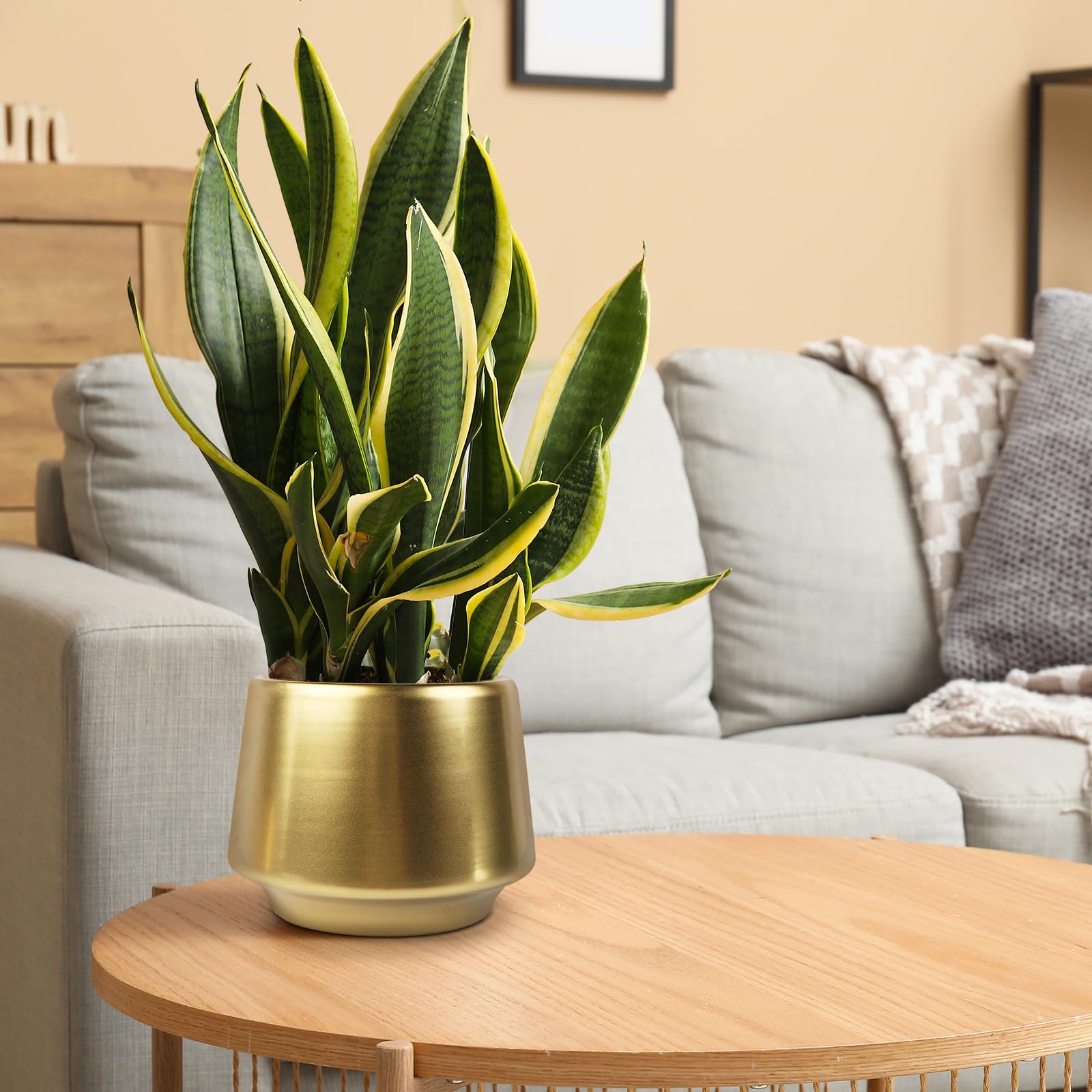 6 Inch Gold Planter Flower Pots - Decorative Indoor Succulent Plant Containers in Brass Finish (5.9