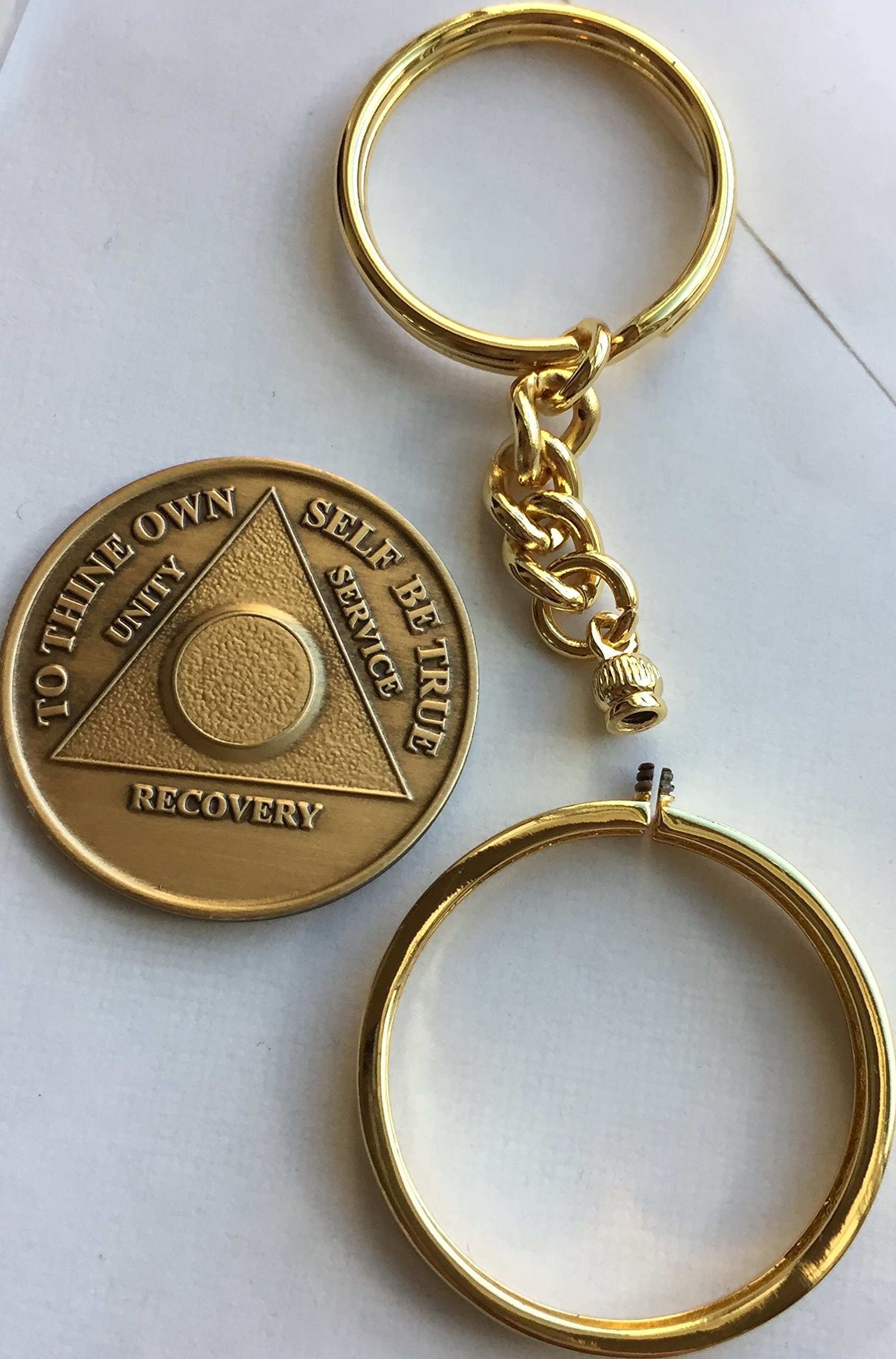Xingcolo AA Alcoholics Anonymous Medallion Chip Holder Keychain - Gold Tone Sobriety Token for 12 Step Recovery, Gifts & Daily Motivation