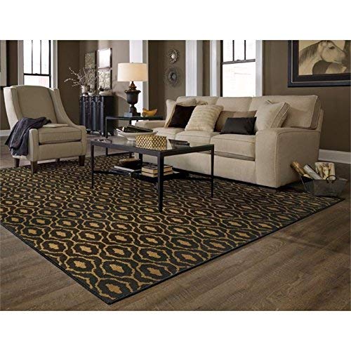 Oriental Weavers Parker Area Rug 9'10 x 12'10 - Premium Handmade Moroccan Style Rug for Living Room, Bedroom & Dining Room Decor