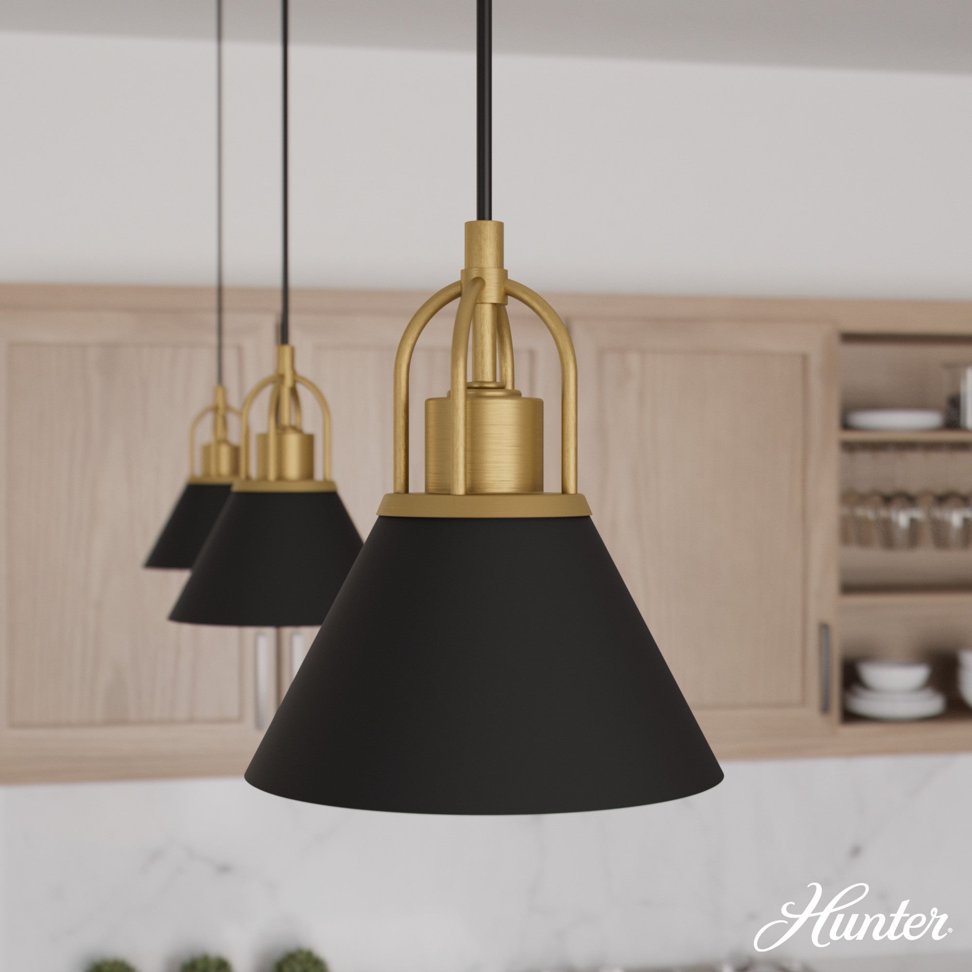 Hunter Carrington Isle Matte Black & Gold Mini Pendant Light - 1-Light Ceiling Fixture, Jasmine Roth Collection - Perfect for Kitchen Island, Dining Room, or Entryway Lighting