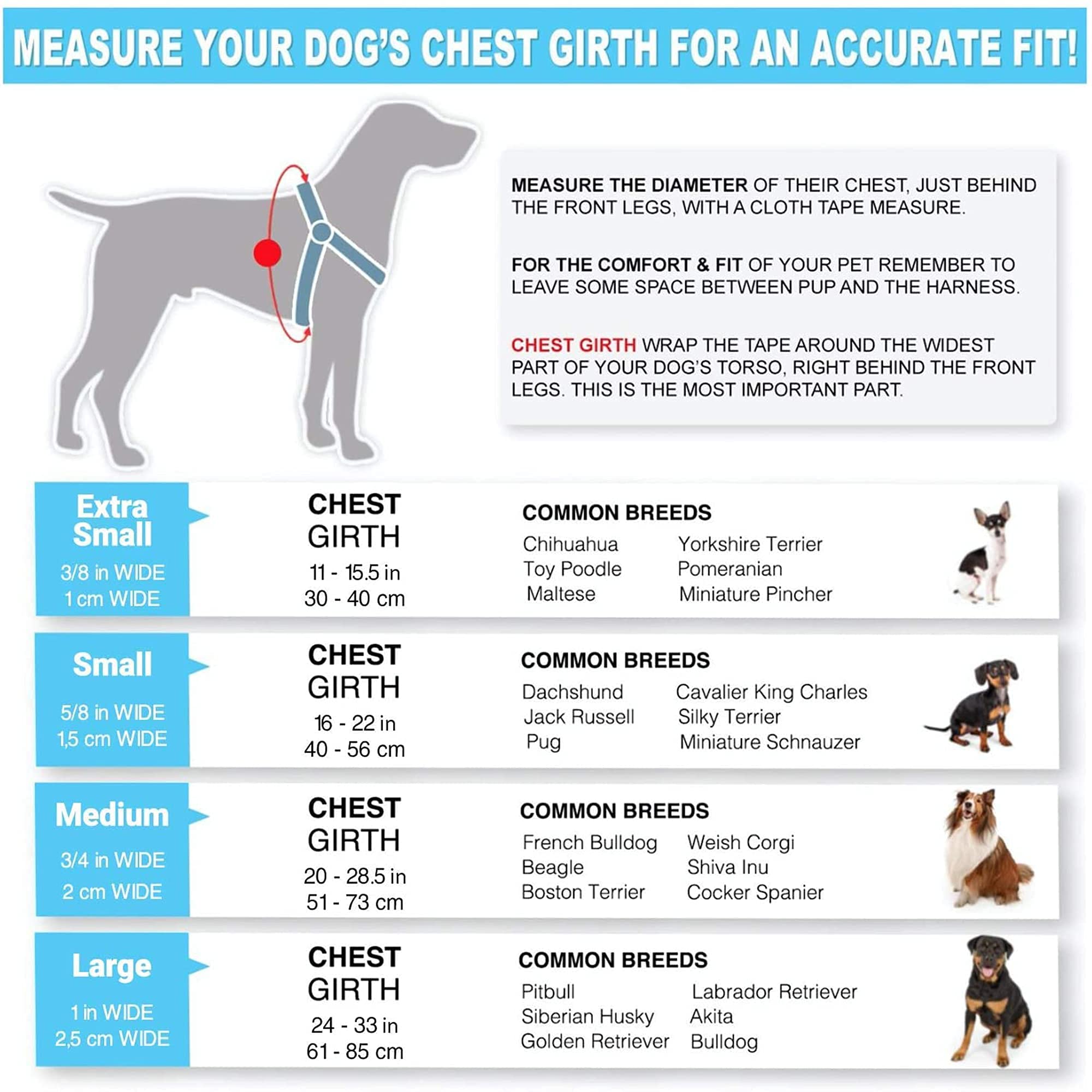 Pawtitas Extra Small Dog Harness and Collar Set - Blue | Adjustable Pet Safety Gear for Small Dogs | Perfect for Walking, Training, and Outdoor Adventures