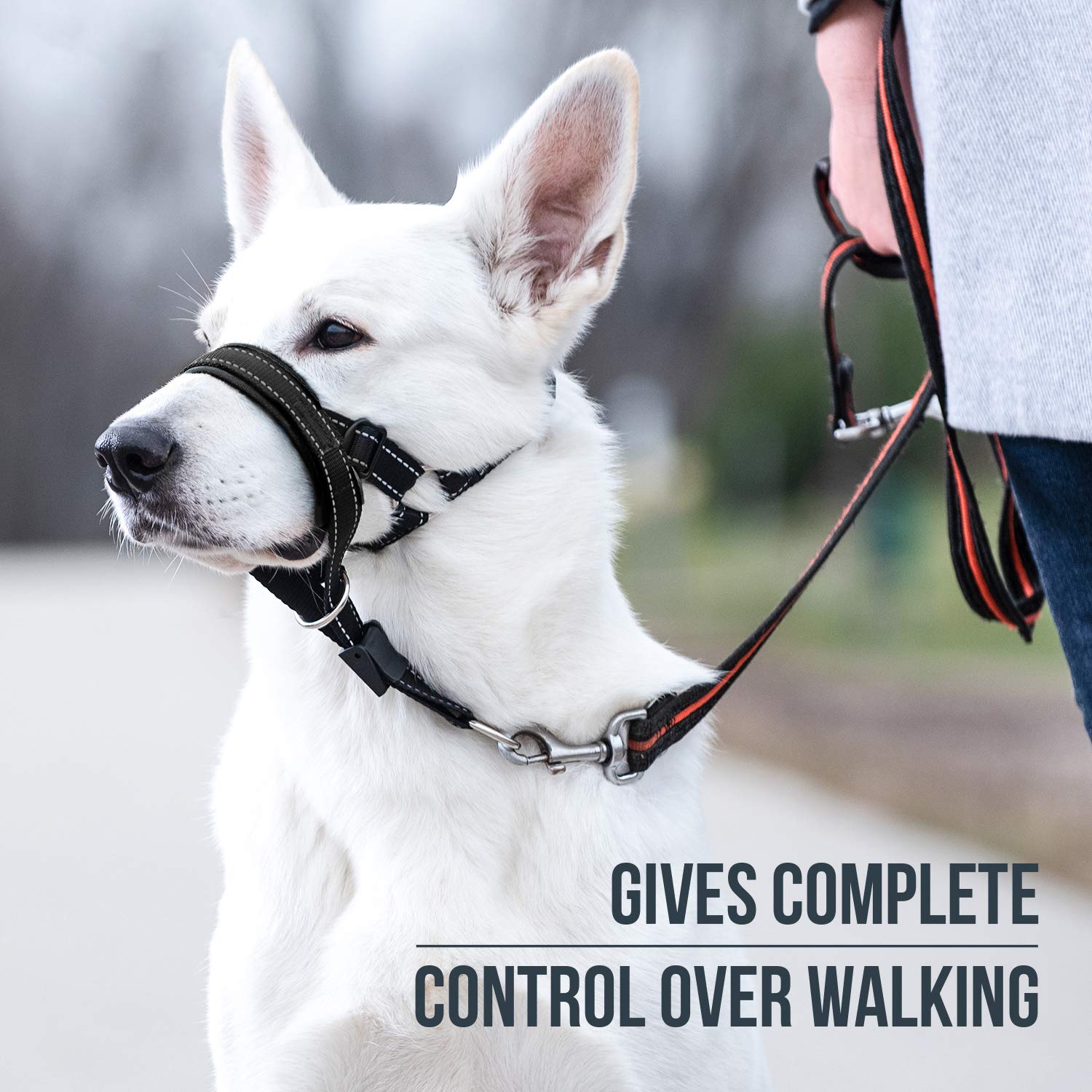 **GoodBoy No-Pull Dog Head Halter with Safety Strap – Gentle Leash Training for Small, Medium & Large Dogs – Padded Comfort Design – Includes Training Guide (Size 2, Black) – Perfect for Walks, Hiking & Obedience Training**