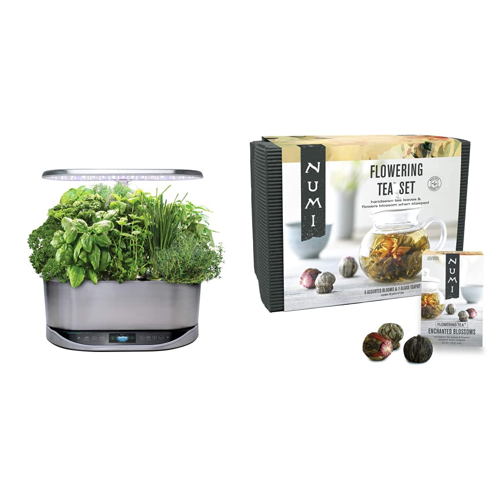 AeroGarden Bounty Elite Indoor Hydroponic System with Stainless Steel Frame | Numi Organic Flowering Tea Gift Set - 6 Blooming Tea Flowers & 16oz Glass Teapot in Bamboo Case | Perfect for Home Gardening & Relaxing Tea Time (Packaging May Vary)