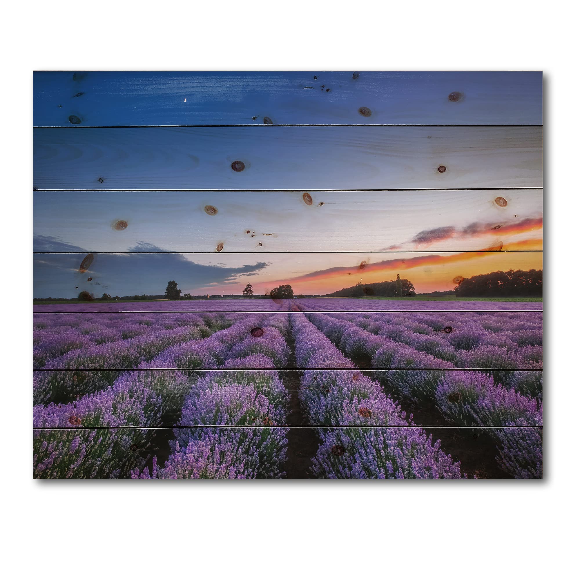 Farmhouse Wood Wall Art - Lavender Field Sunrise on Pine Wood for Home Decor