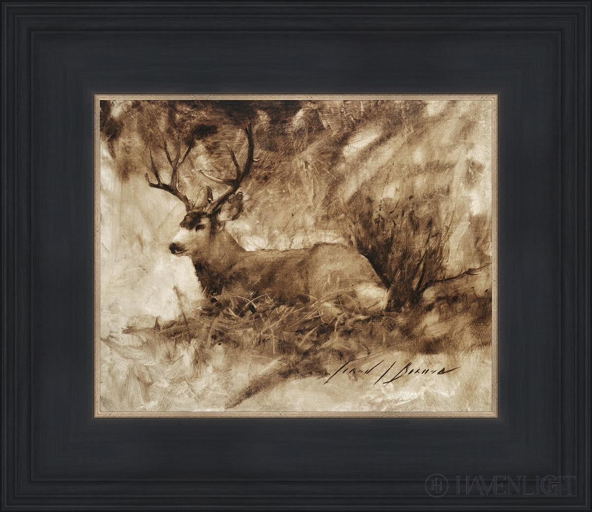 Bedded Buck By Jared Barnes - Premium Hunting & Outdoor Gear for Camping, Hiking & Adventure Enthusiasts