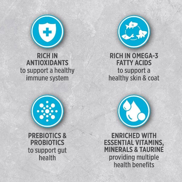 Nutrience Infusion Healthy Adult Ocean Fish Recipe Dry Dog Food - High Protein Grain-Free Kibble for Medium & Large Breed Dogs - Perfect for Active Pets & Daily Nutrition