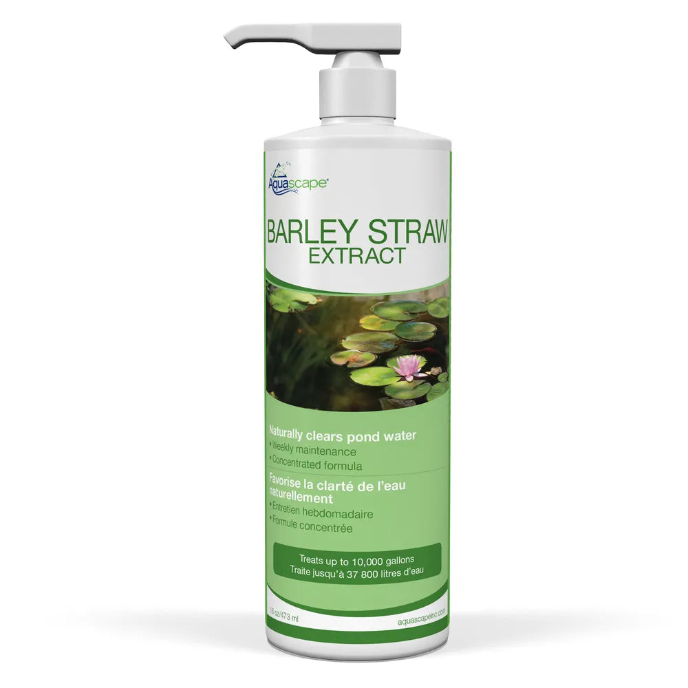 Organic Barley Straw Extract Powder - Natural Supplement for Detox & Skin Health - Perfect for Smoothies, Teas & Wellness Routines