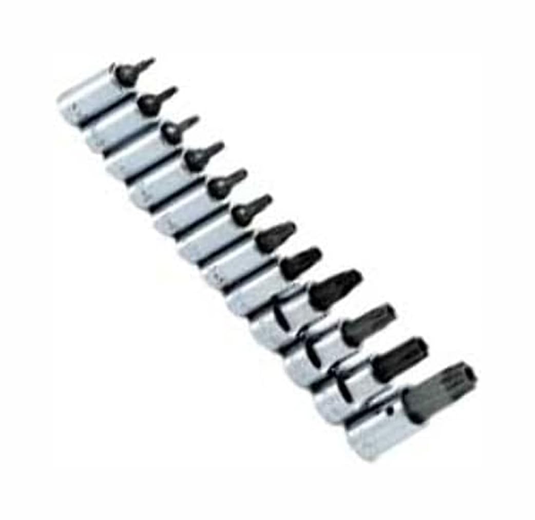 SK Tools USA 12-Piece Chrome Tamper-Proof TORX® Bit Socket Set - 1/4