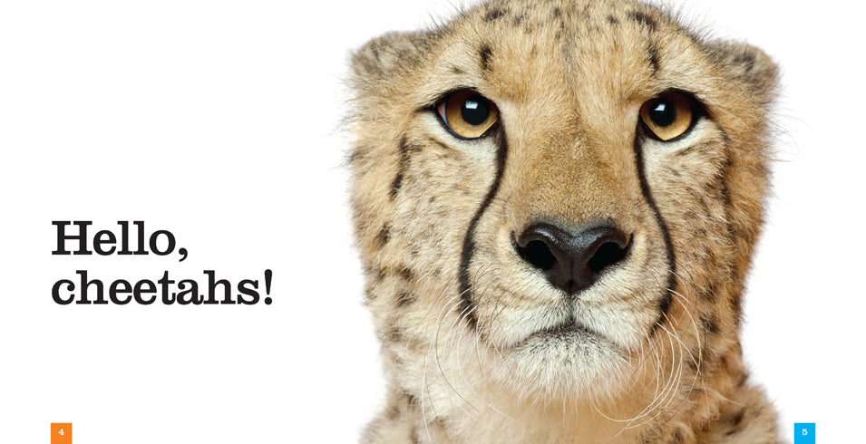 Cheetahs Book - ISBN 9781608184521 - Wildlife Education & Conservation Guide for Animal Lovers