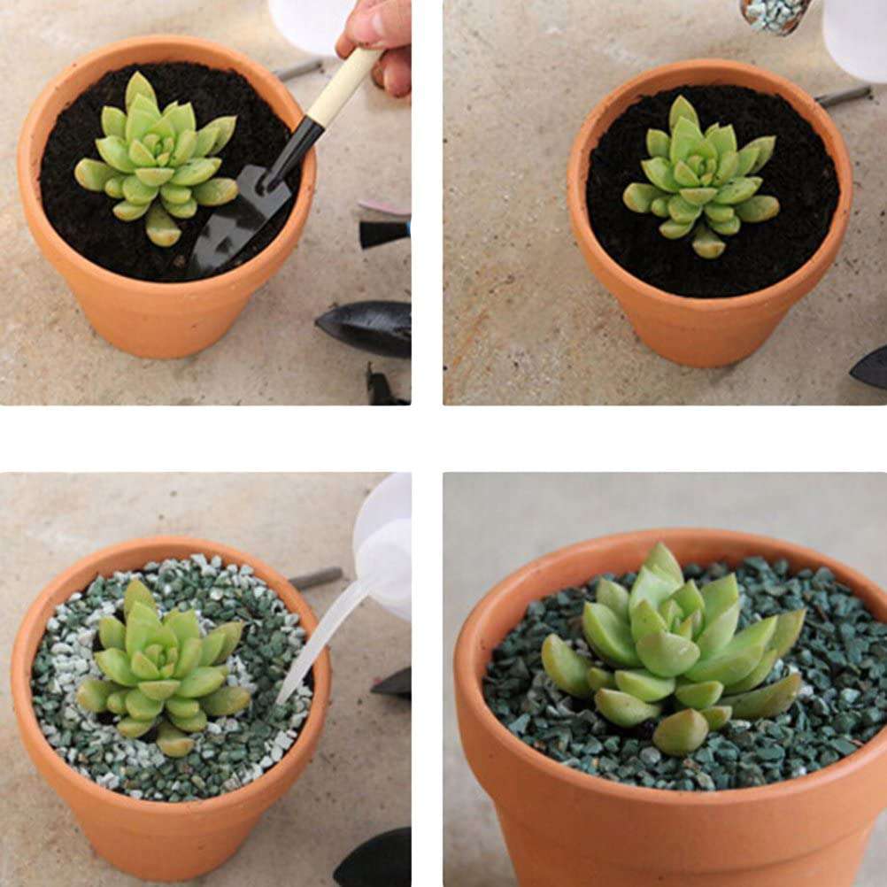 10 Pack 6 Inch Clay Ceramic Flower Pots with Drain Hole - Small Planters for Succulents, Cactus, Herbs & Indoor Plants - Perfect for Home Decor, Office Desk & Garden Nursery