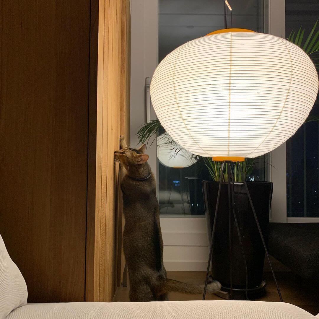 Akari Floor Lamp - Modern Japanese Paper Light for Living Room, Bedroom & Office - Soft Ambient Lighting for Relaxation & Decor