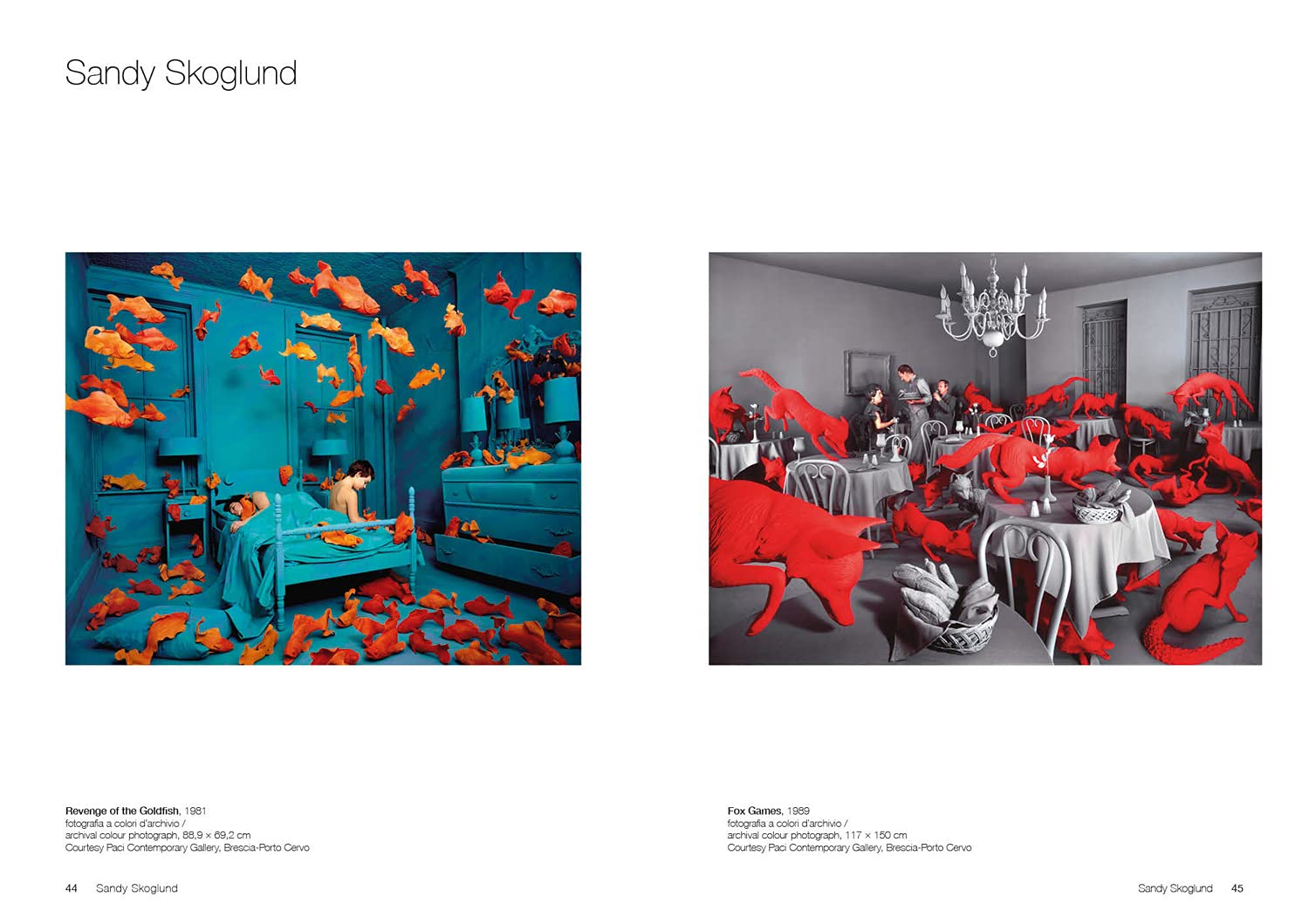 True Fictions: Visionary Photography Book 1970s to Present - Perfect for Art Collectors & Photography Enthusiasts