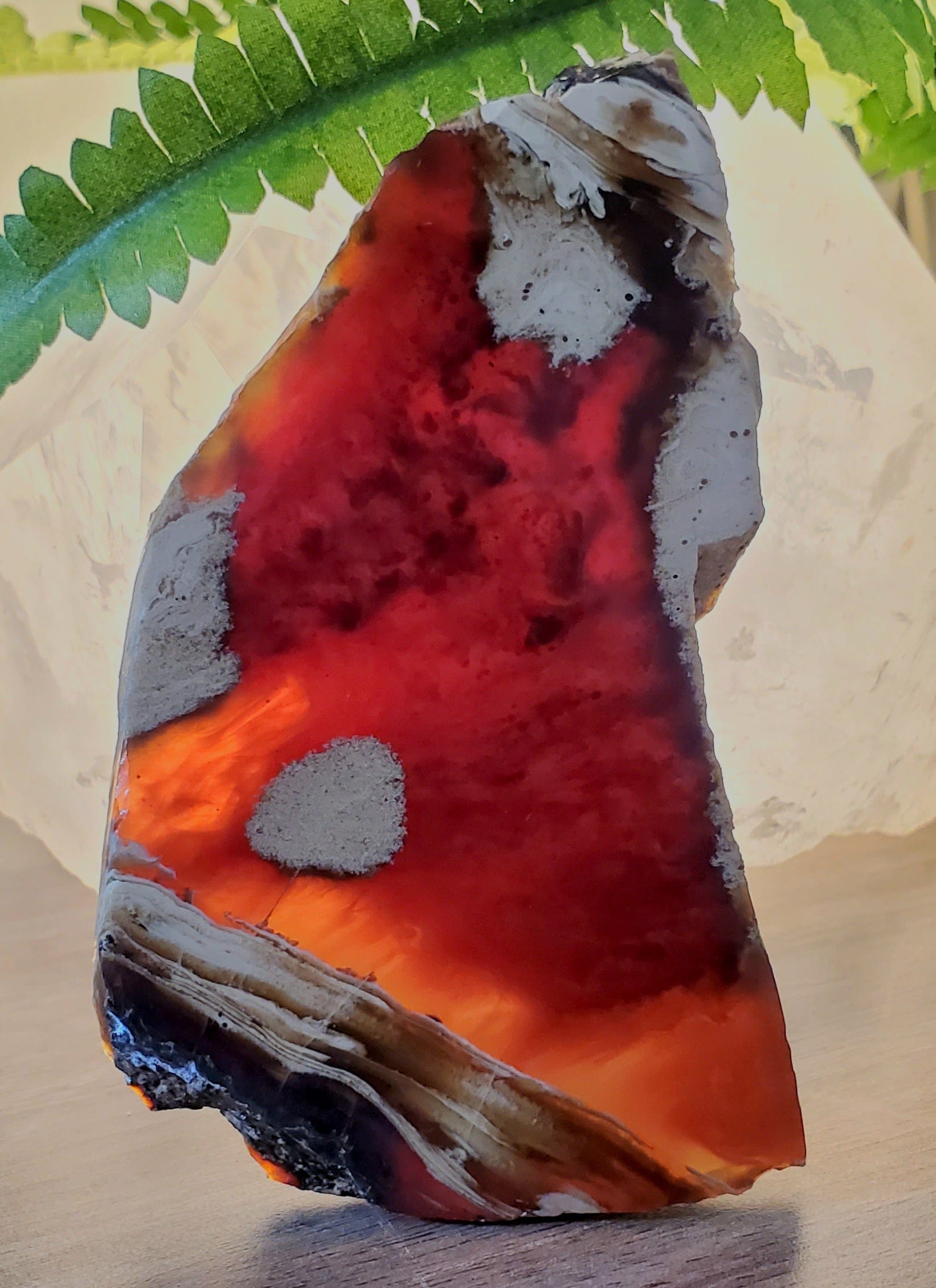 Natural Baltic Amber Slab - Raw Unpolished Amber Stone for Jewelry Making, Healing Crystals & Home Decor - Perfect for DIY Crafting, Meditation & Gifts