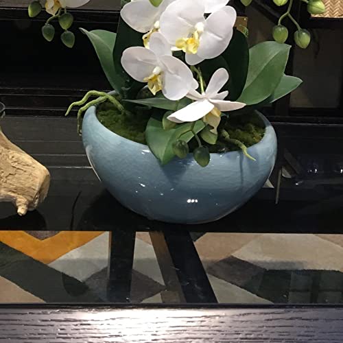 White Artificial Orchid Flowers in Blue Ceramic Vase - Phalaenopsis Fake Flower Arrangement for Home & Office Decor - Perfect for Wedding Centerpieces, Table Decorations & Living Room Accents