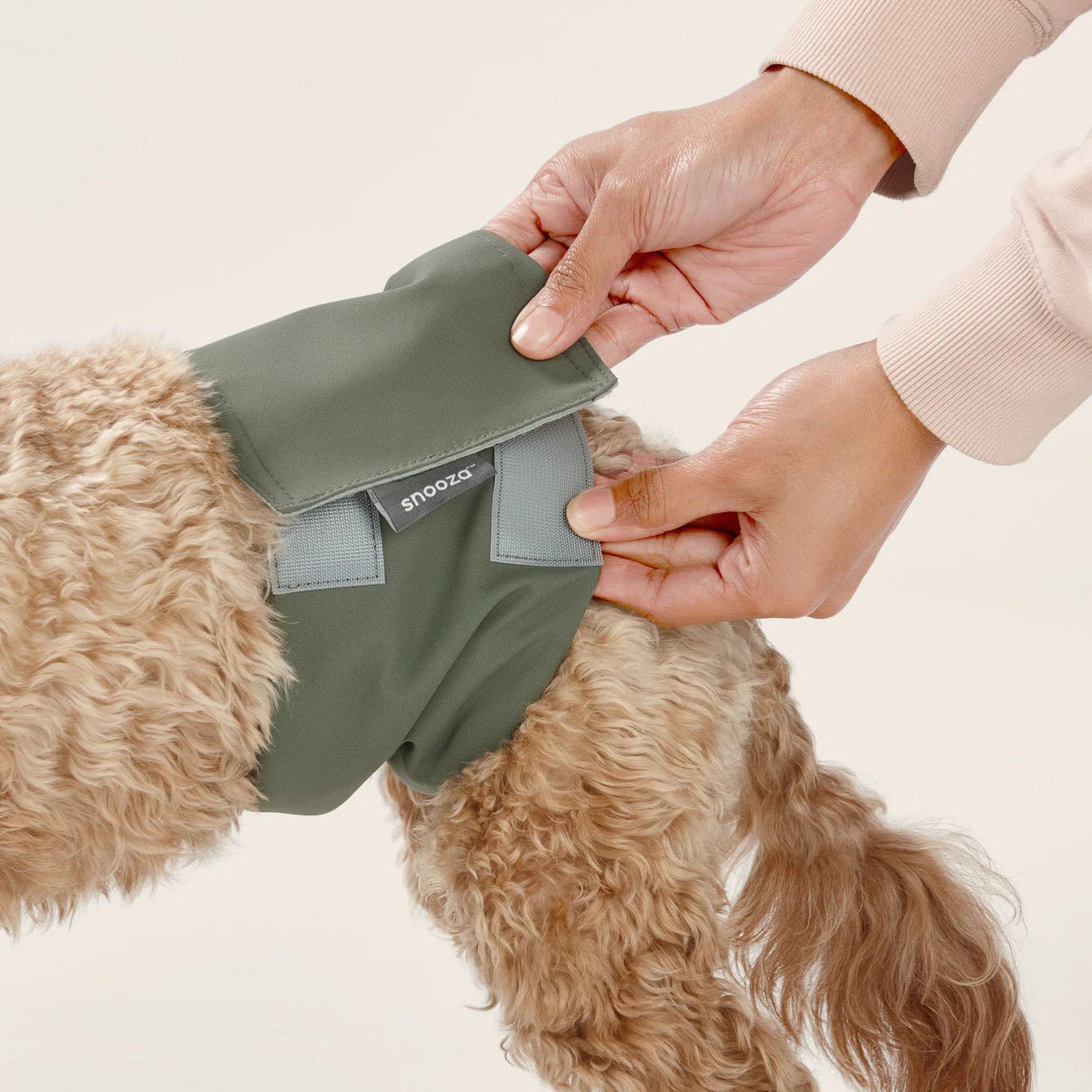 Washable Male Dog Diaper Band - Reusable Twin Pack for Incontinence & Training | Perfect for Travel, Home & Outdoor Use