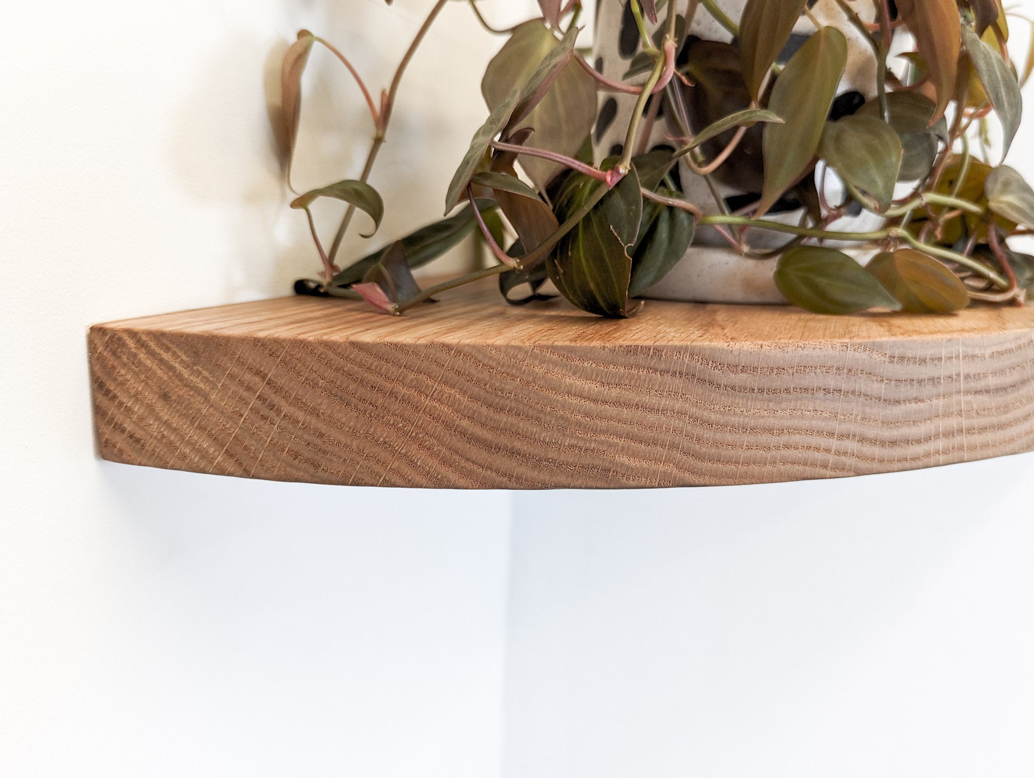 Floating Corner Shelf with Round Edge - Solid Oak Wall Mounted Shelf for Bathroom, Kitchen, or Living Room Storage & Decor
