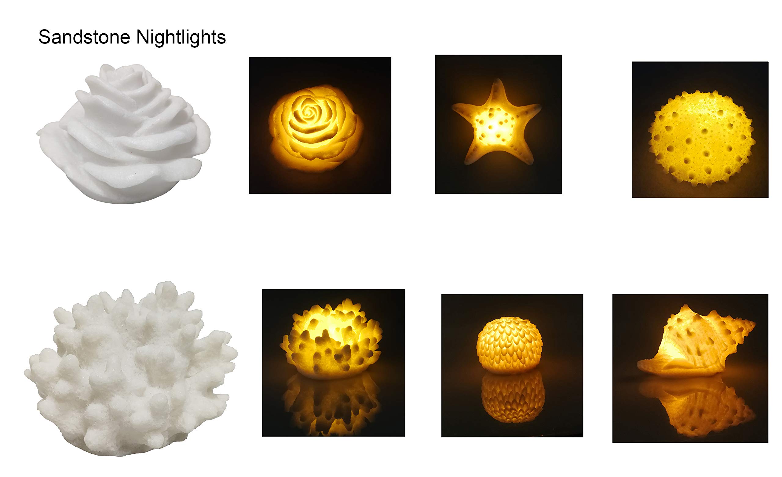 GREENIC Portable Conch Shell Night Light with Timer - Battery Operated Beach Themed Lamp for Bedroom, Nursery & Nightstand - Warm White Nautical Lighting for Kids & Adults | Perfect for Coastal Decor, Baby Rooms & Relaxing Ambience