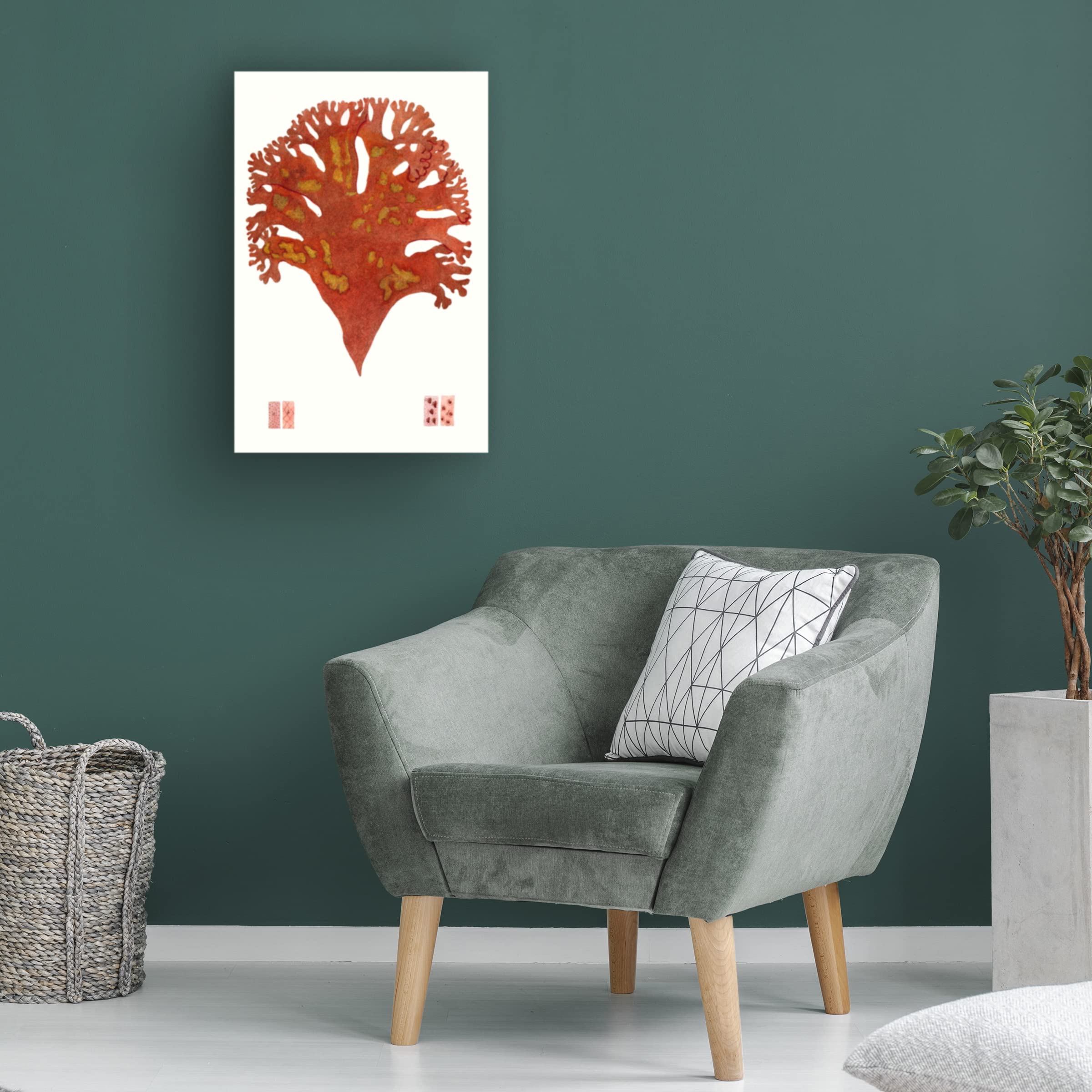Striking Seaweed III Canvas Wall Art Print - Modern Coastal Decor for Living Room, Bedroom & Office - High Quality Gallery Wrapped Ready to Hang