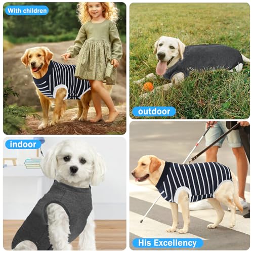 Dog & Cat Recovery Suits - Post-Surgery Protective Wear for Spay/Neuter, Breathable Anti-Licking Surgical Onesie for Female & Male Pets (Blue White Stripes, Size S) - Ideal for Wound Protection & Comfort After Vet Procedures