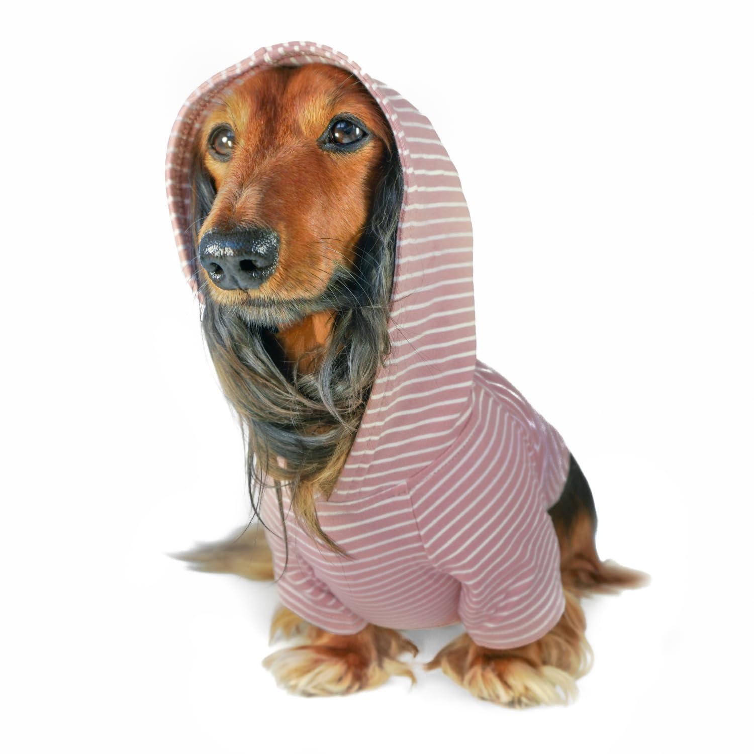 DJANGO Dog Hoodie - Soft & Stretchy Winter Sweater for Small Dogs & Dachshunds - Machine Washable Pet Hoodie with Elastic Waistband & Harness Hole - Cozy Blush Pink Dog Sweatshirt for Outdoor Walks & Indoor Lounging