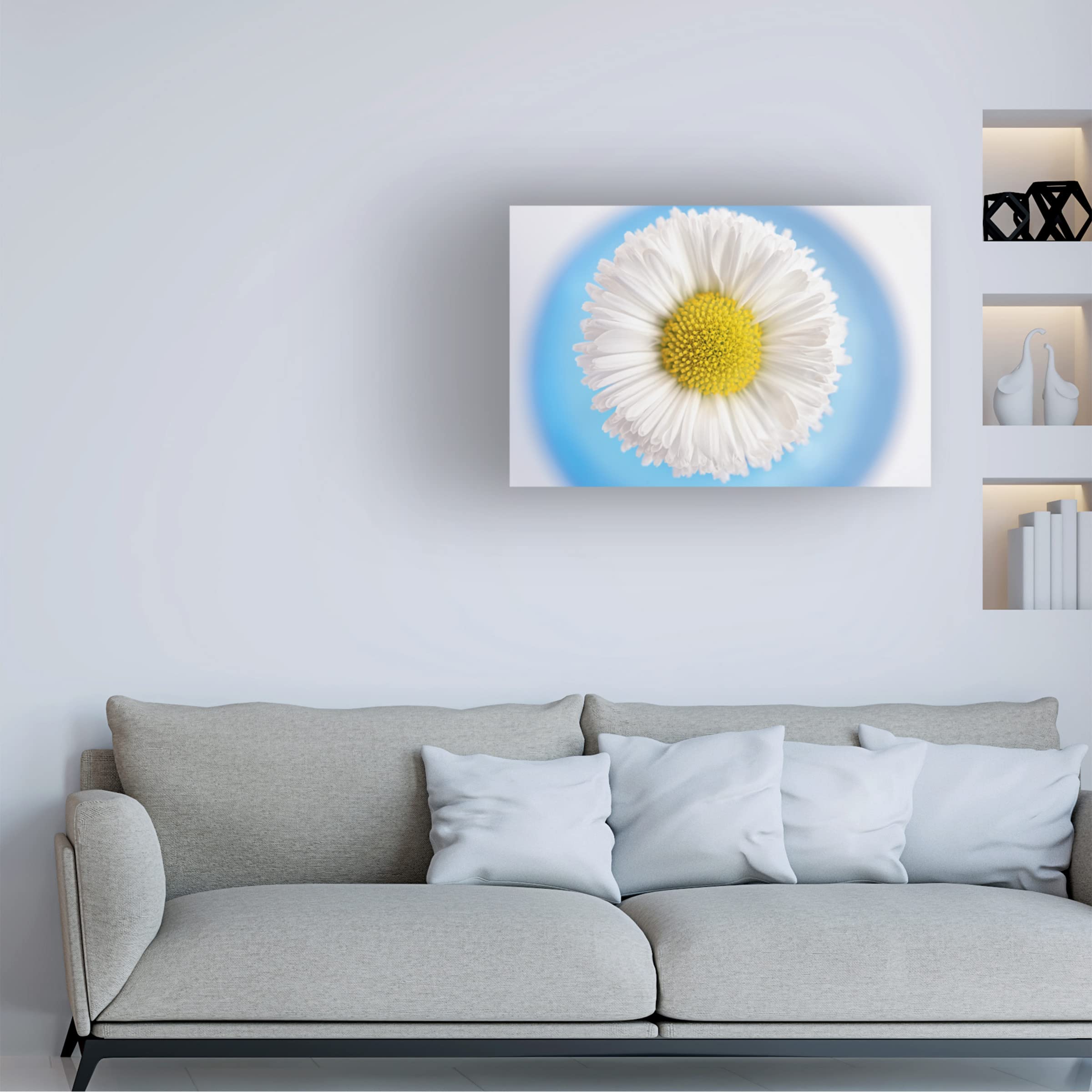 Trademark Fine Art 'Daisy in Blue Vase' Canvas Wall Art Print by Cora Niele - Floral Home Decor for Living Room, Bedroom & Office