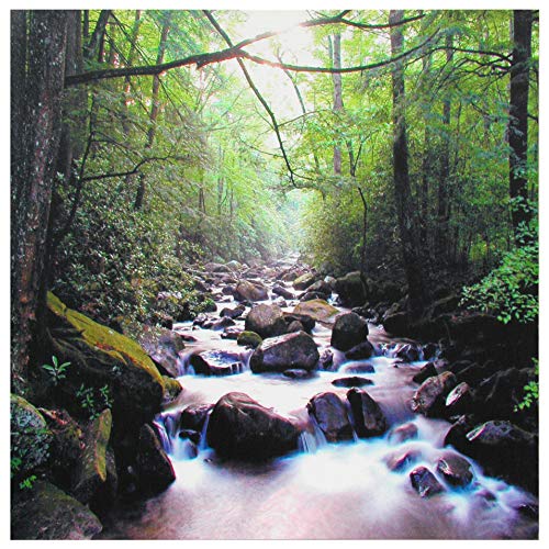 River of Life