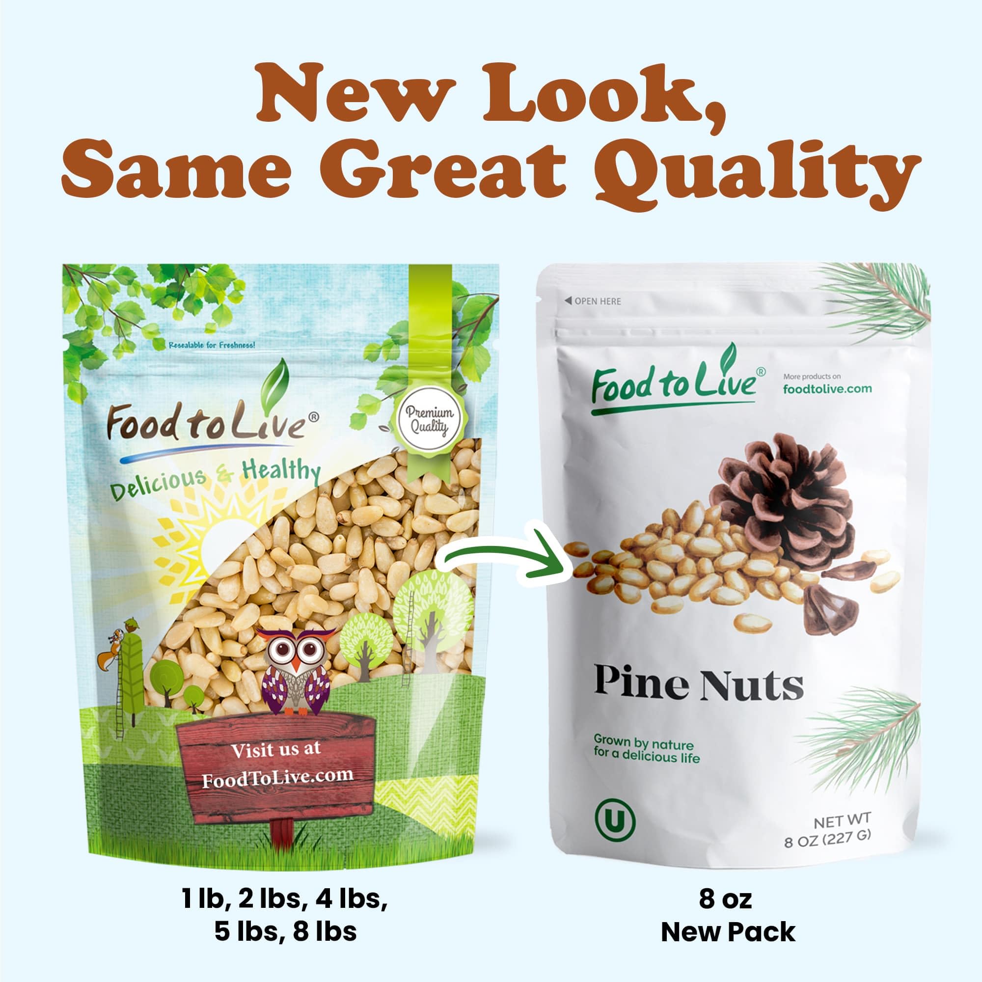 Food to Live - Raw Pine Nuts (Pignolias), 5 Pounds Bulk - Unsalted, Vegan, Kosher, Rich in Vitamin E & Protein - Healthy Snack for Pesto, Salads, Baking, Trail Mix & Mediterranean Cooking