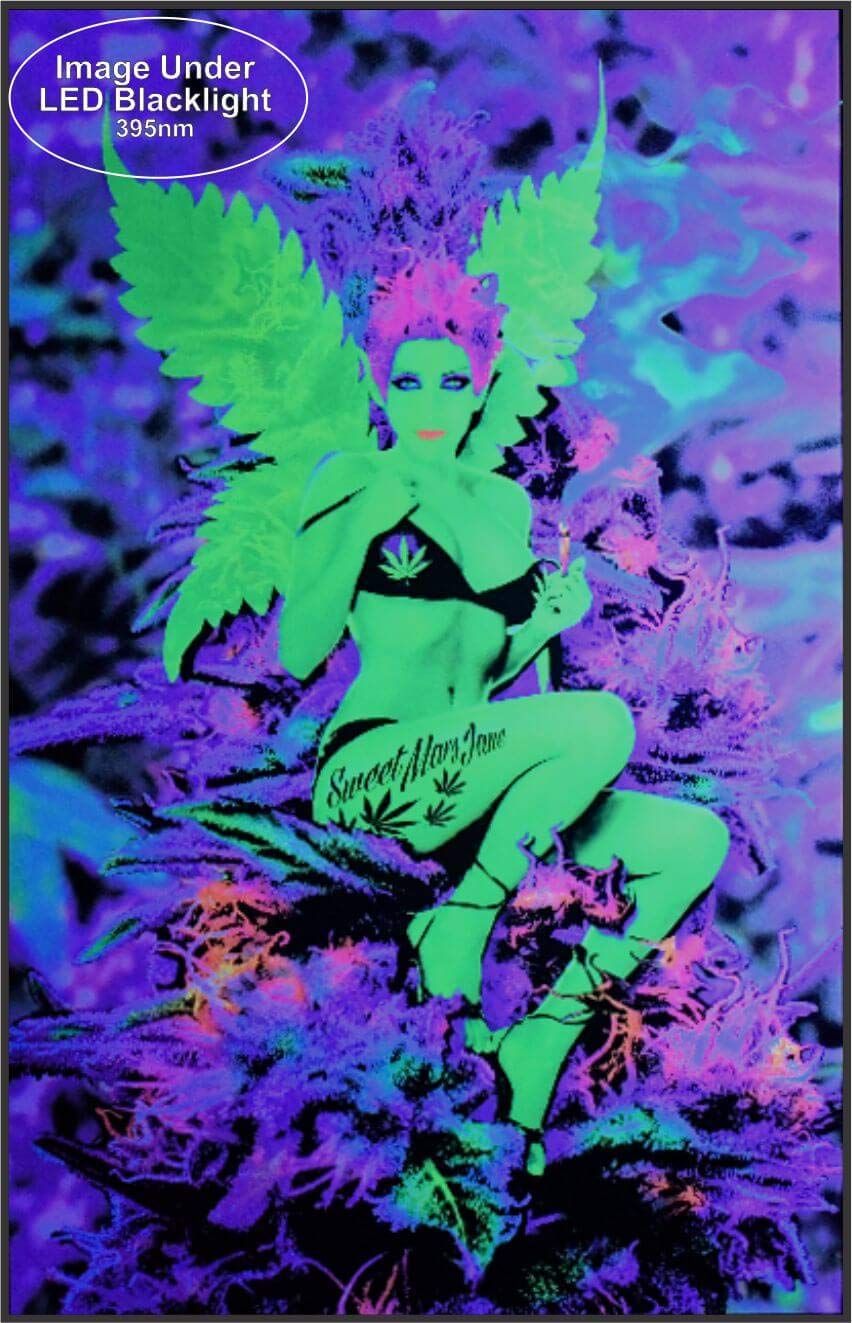 Studio B Weed Fairy - Flocked Blacklight Poster 24