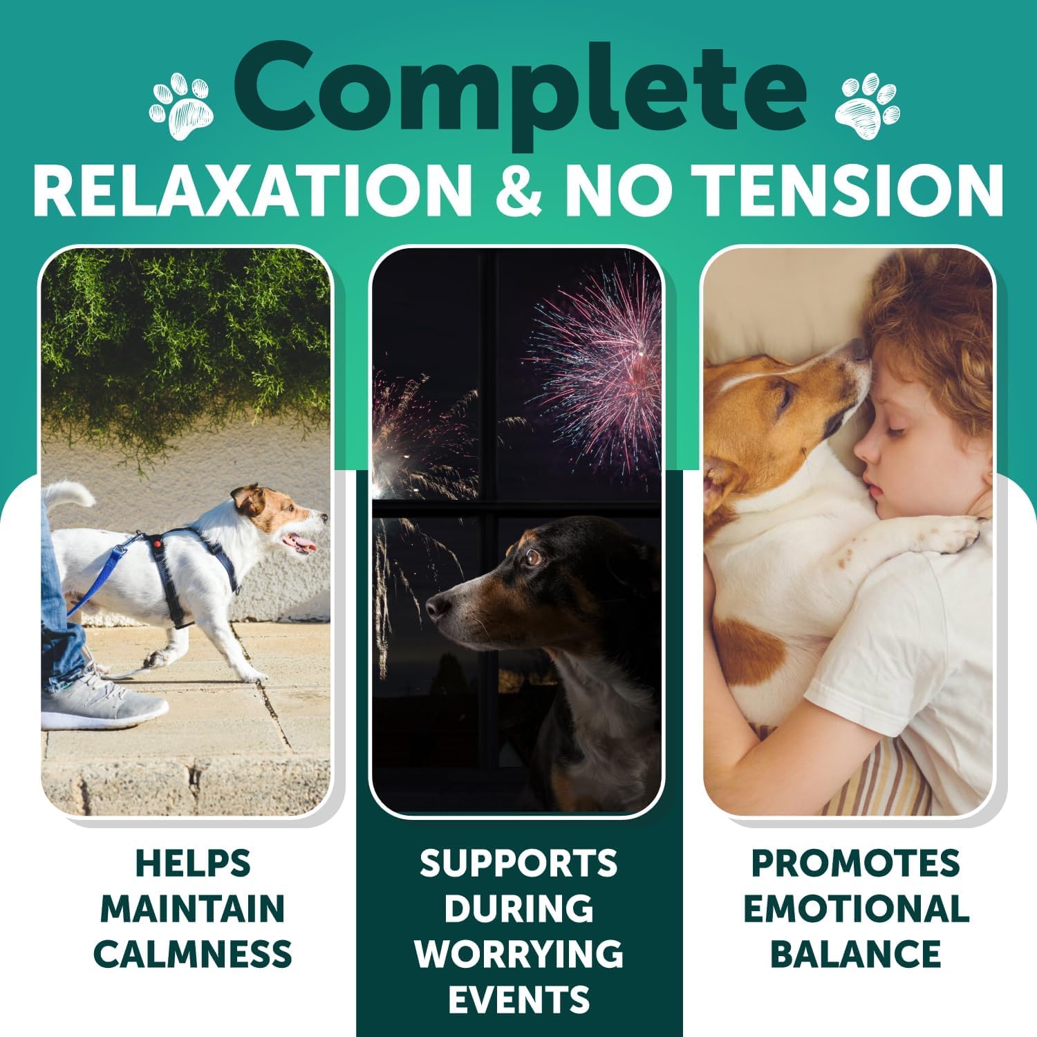Organic Hemp Calming Chews for Dogs - Natural Anxiety Relief Treats with Hemp Oil, Turmeric & Valerian Root - Stress & Joint Support Supplement for Anxious Dogs - 120 Chews - Perfect for Travel, Storms & Separation Anxiety