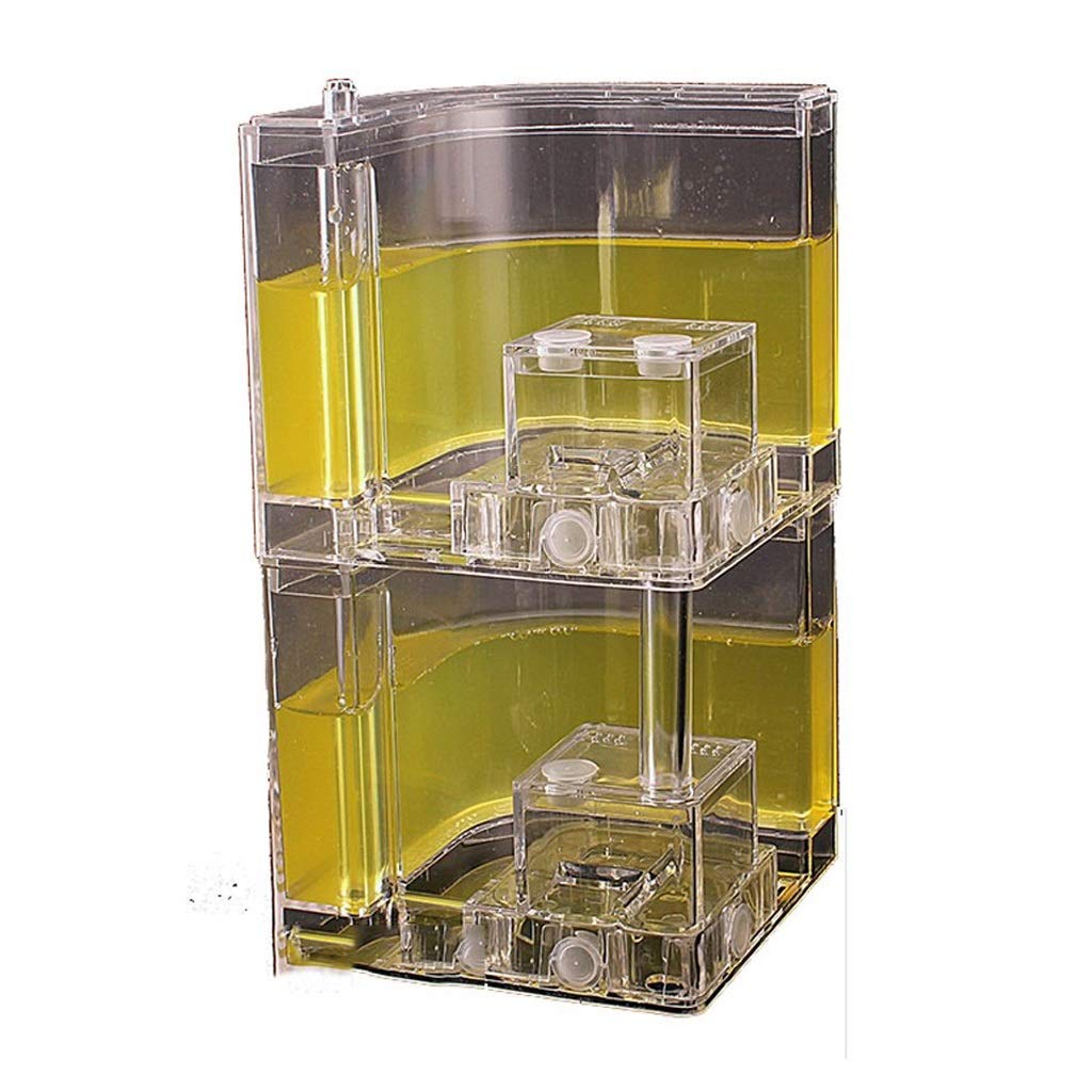 LLNN Acrylic Ant Farm DIY Habitat Kit - Transparent Ant Castle with Edible Blue Gel Nutrition - Small Ant Palace for Educational Fun & Insect Observation - Perfect for Kids, Science Projects, Birthday Gifts & Classroom Activities