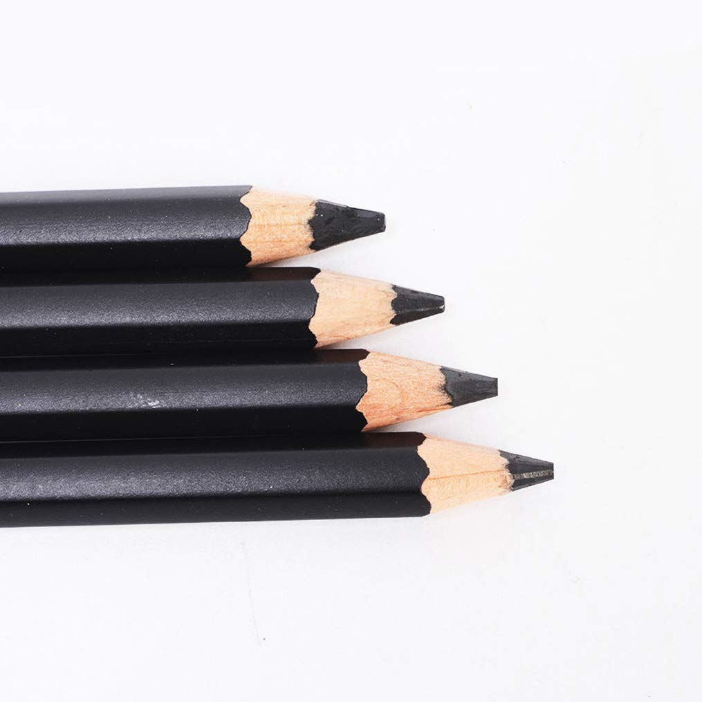 2B Black Sketch Drawing Pencils - Professional Art Pencils for Artists & Students, 12-Pack - Perfect for Sketching, Shading & Detailed Artwork