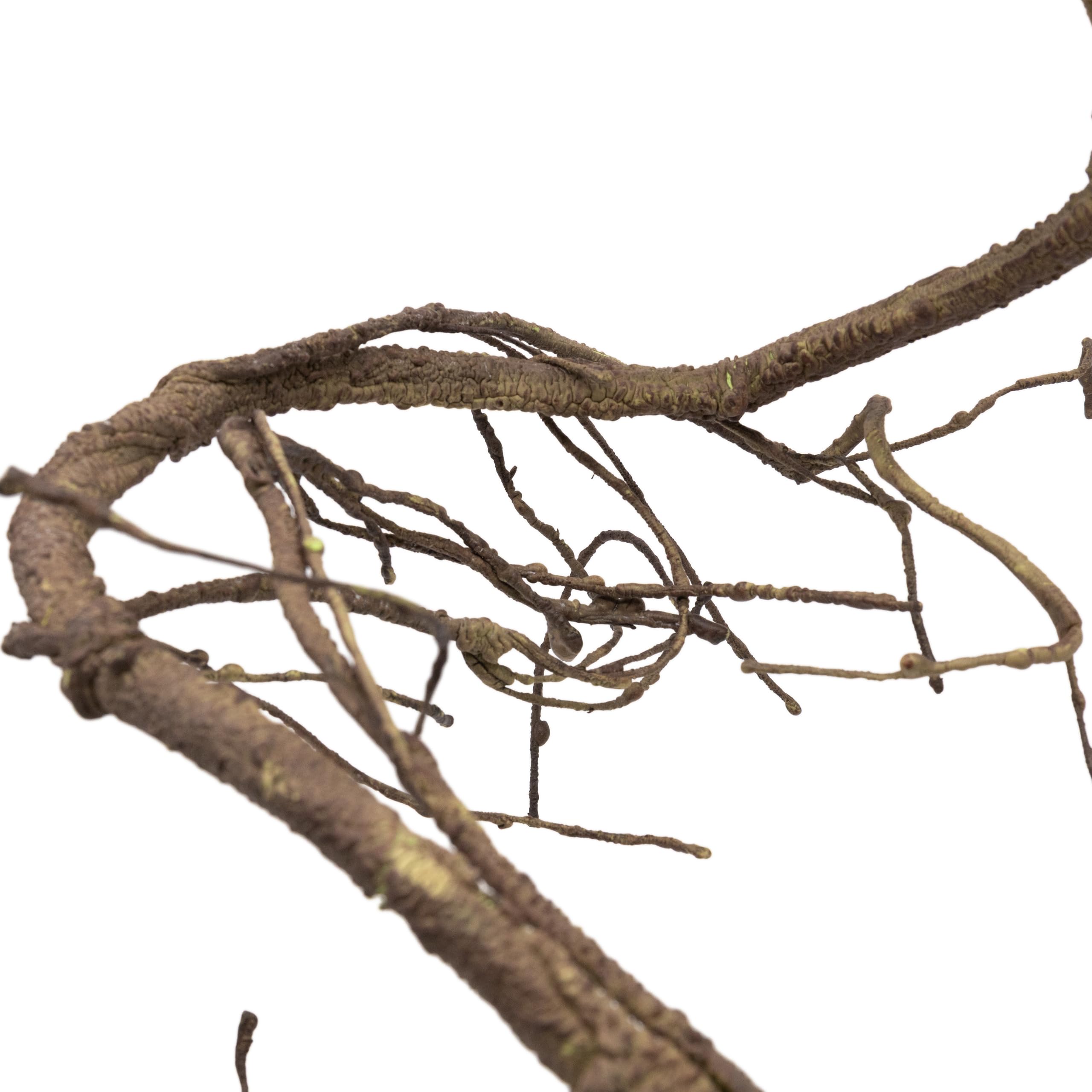 Pangea Reptile Ultimate Vine - Natural Brown Terrarium Climbing Branch for Lizards, Snakes & Frogs - Perfect for Jungle & Rainforest Habitat Decor