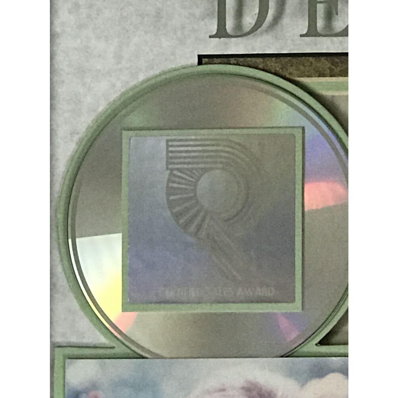 Deana Carter Did I Shave My Legs For This? RIAA Certified Platinum Album Award - Country Music Collectible for Fans & Display