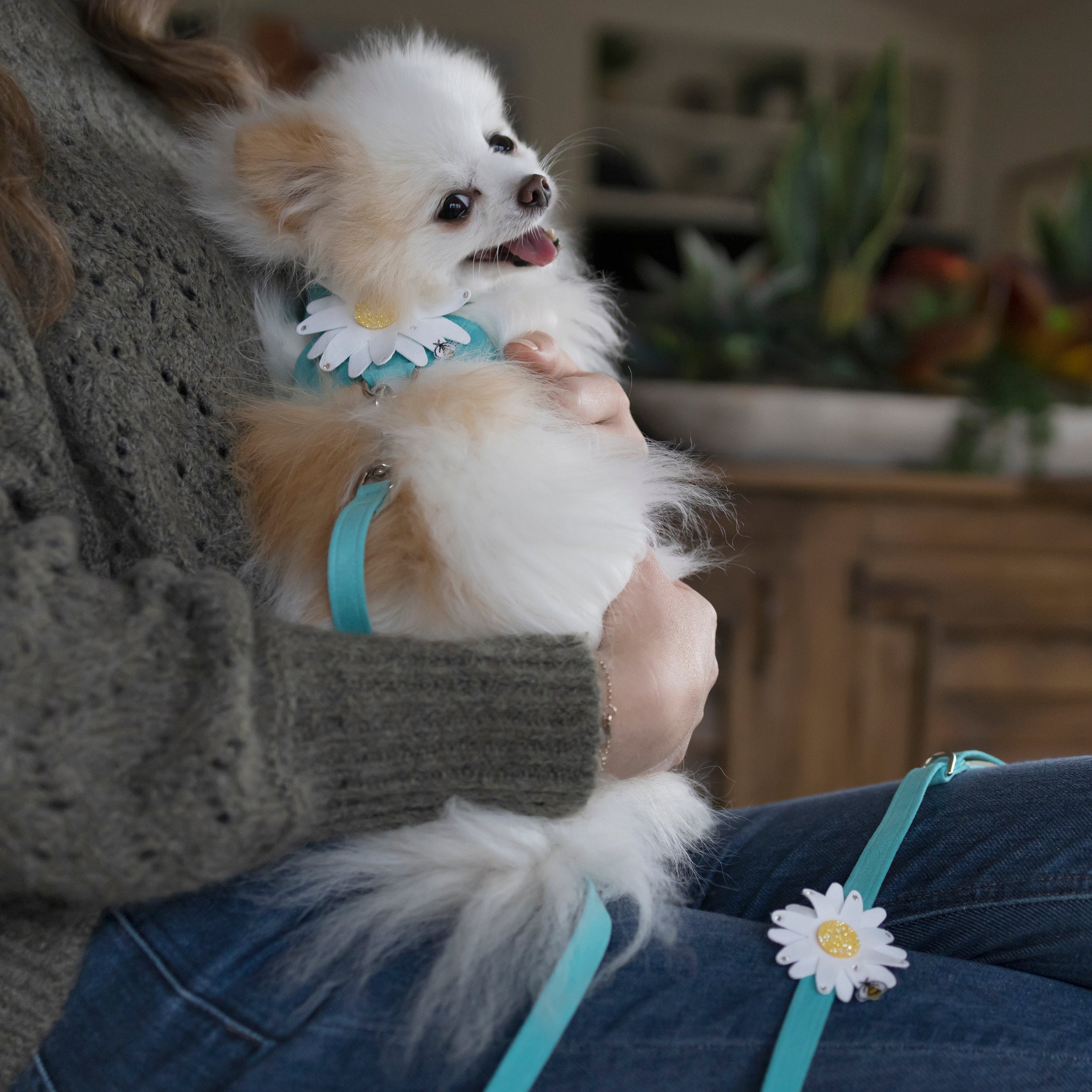 Sparkling Large Daisy Dog Leash with AB Crystal Stellar Center - Fashionable Pet Accessory for Small & Medium Dogs, Perfect for Walks, Training & Outdoor Adventures