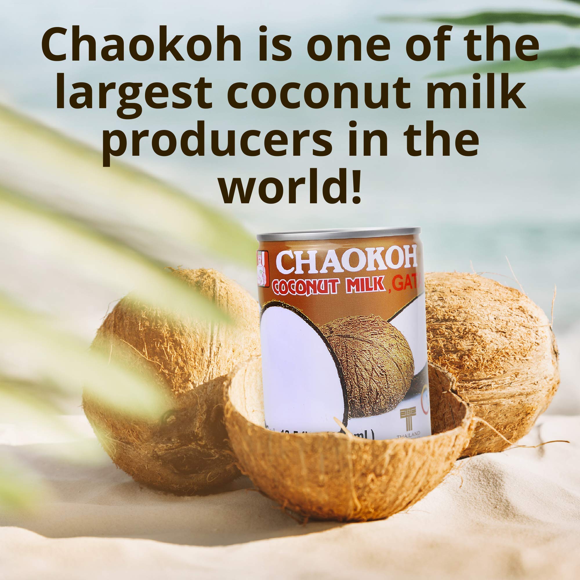 Chaokoh Coconut Milk 24 Pack (13.5 Oz per Can) - Creamy Non-Dairy Coconut Milk, No Preservatives or Artificial Flavors, Perfect for Smoothies, Curries, Baking & Vegan Recipes