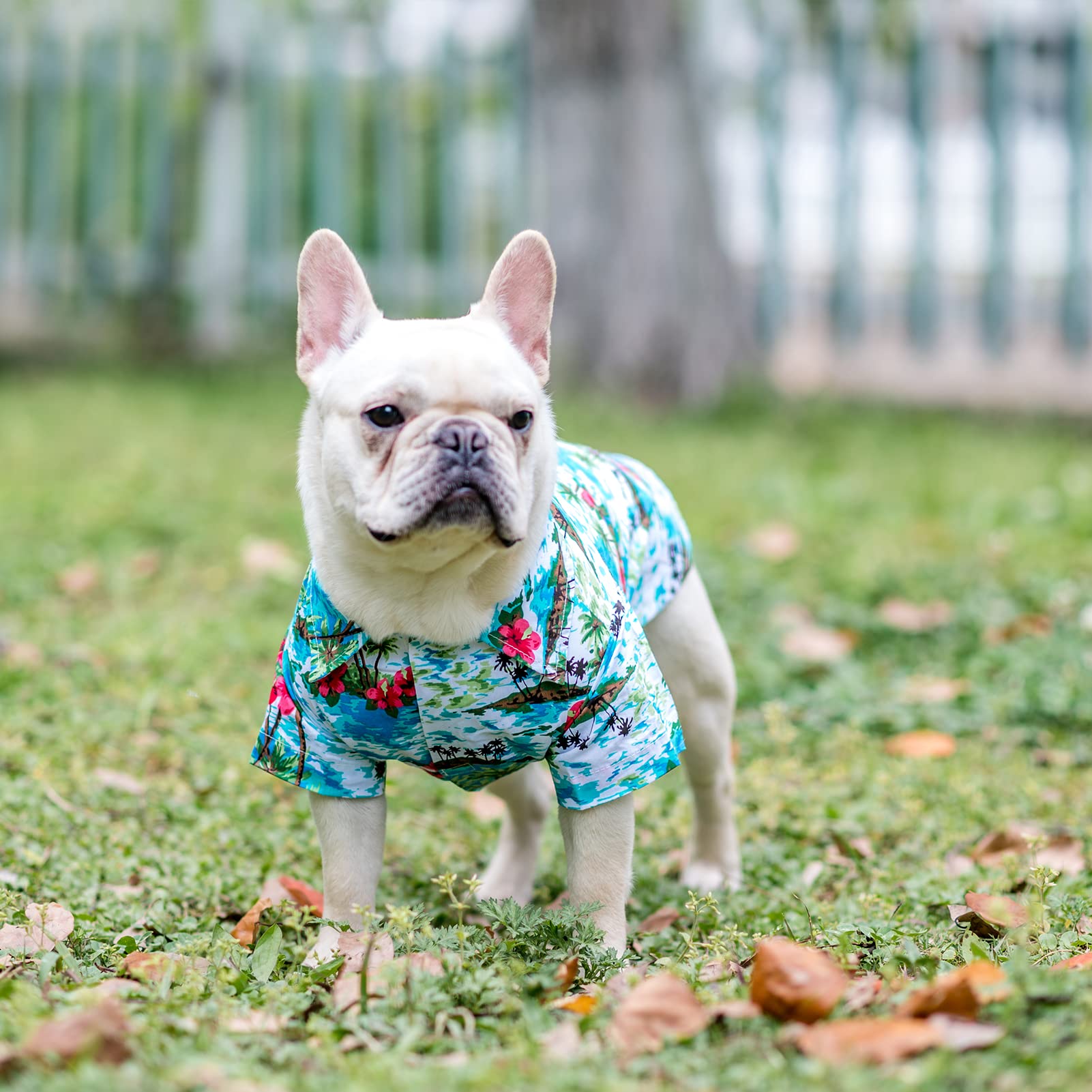 EXPAWLORER Hawaiian Dog Shirt - Breathable Floral & Sea Island Print Polo T-Shirt for Small, Medium & Large Dogs | Summer Cooling Outfit for Puppies (Boys & Girls) | Perfect for Beach Days, Backyard BBQs & Tropical Vacations