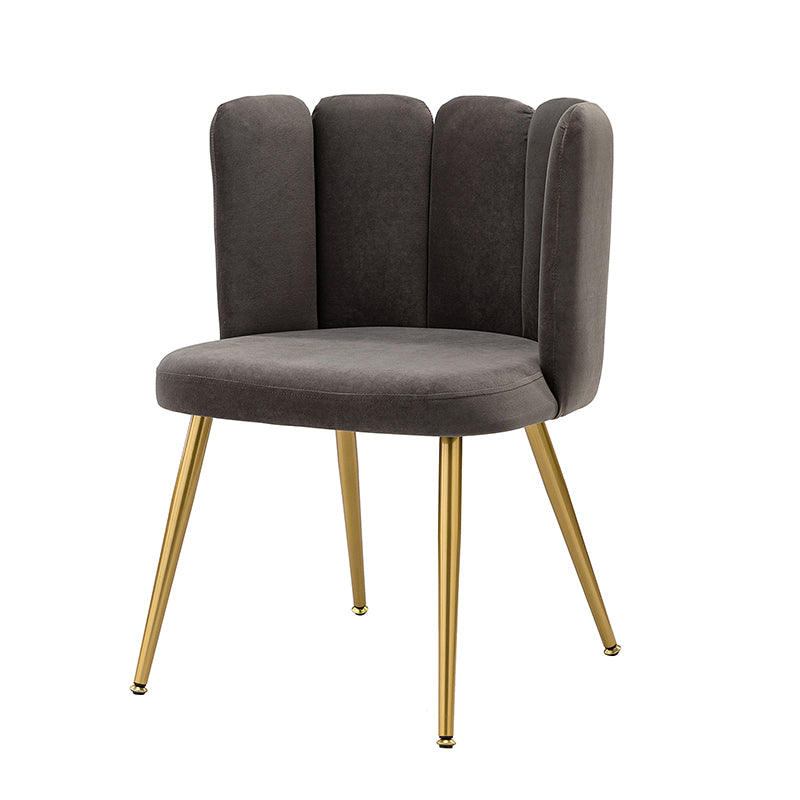 Elodia Side Chair - Modern Accent Chair for Dining Room, Living Room & Office - Sturdy Wooden Frame with Upholstered Seat - Perfect for Home Decor & Small Spaces