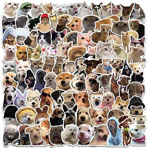 Dogs Cats