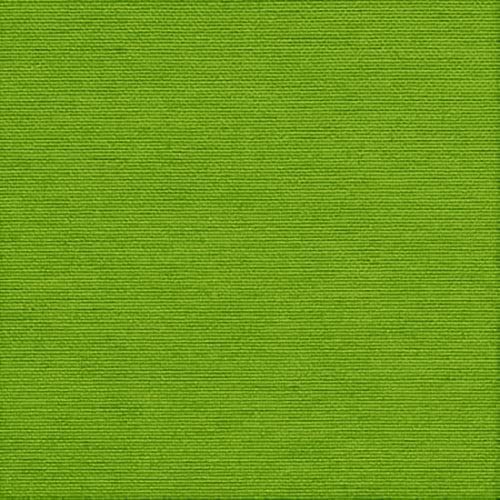 Kiwi Green
