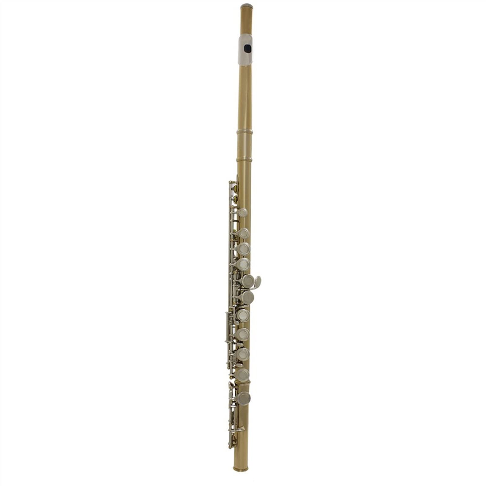 Zengxue 16-Hole Closed C Key Golden Silver Flute for Kids - Professional Wind Musical Instrument with Gloves and Case - Perfect for Beginners, School Bands & Music Lessons