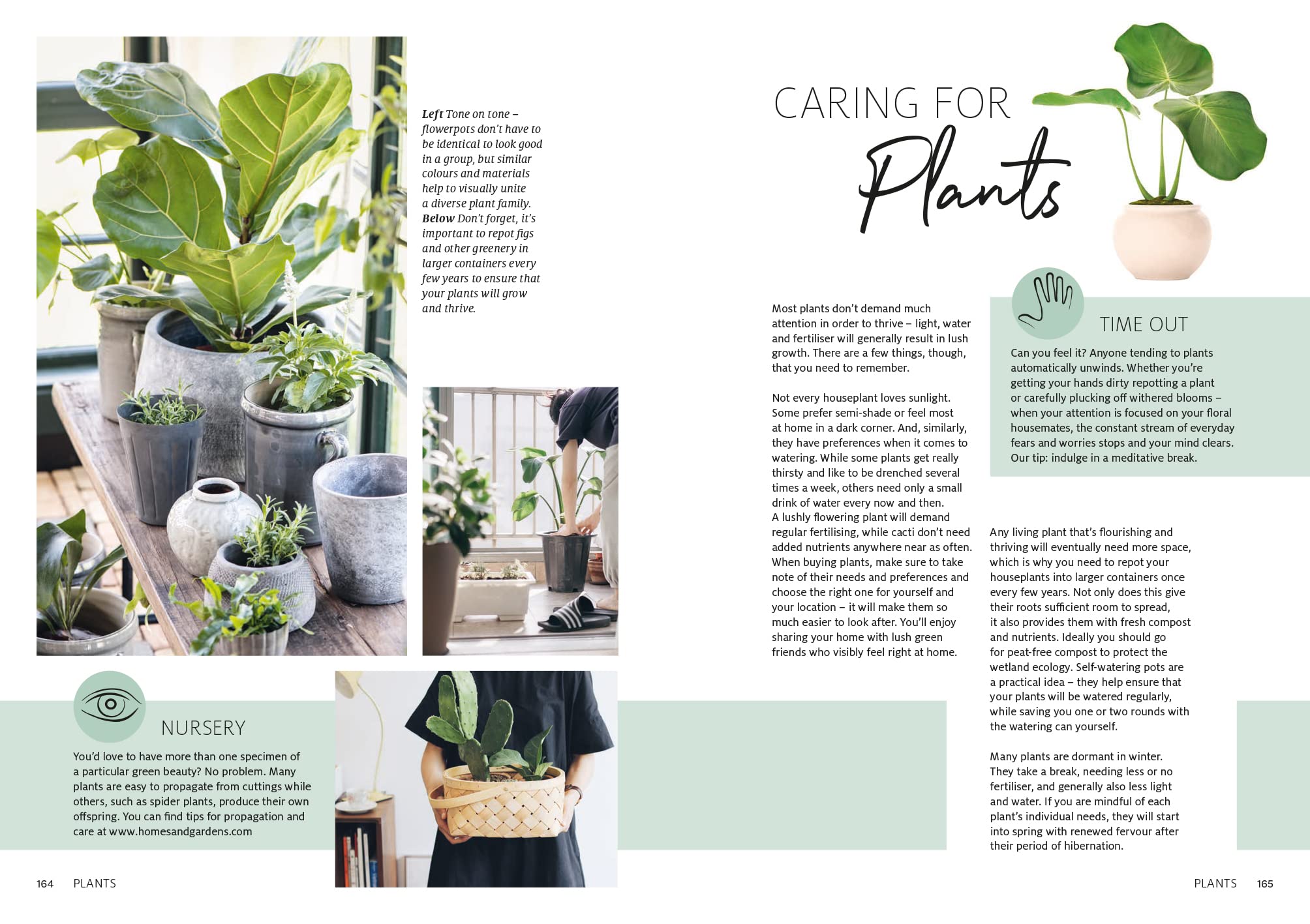 The Feel Good Home: A Practical Guide to Conscious Living & Sustainable Lifestyle - Perfect for Eco-Friendly Home Decor and Mindful Living Spaces