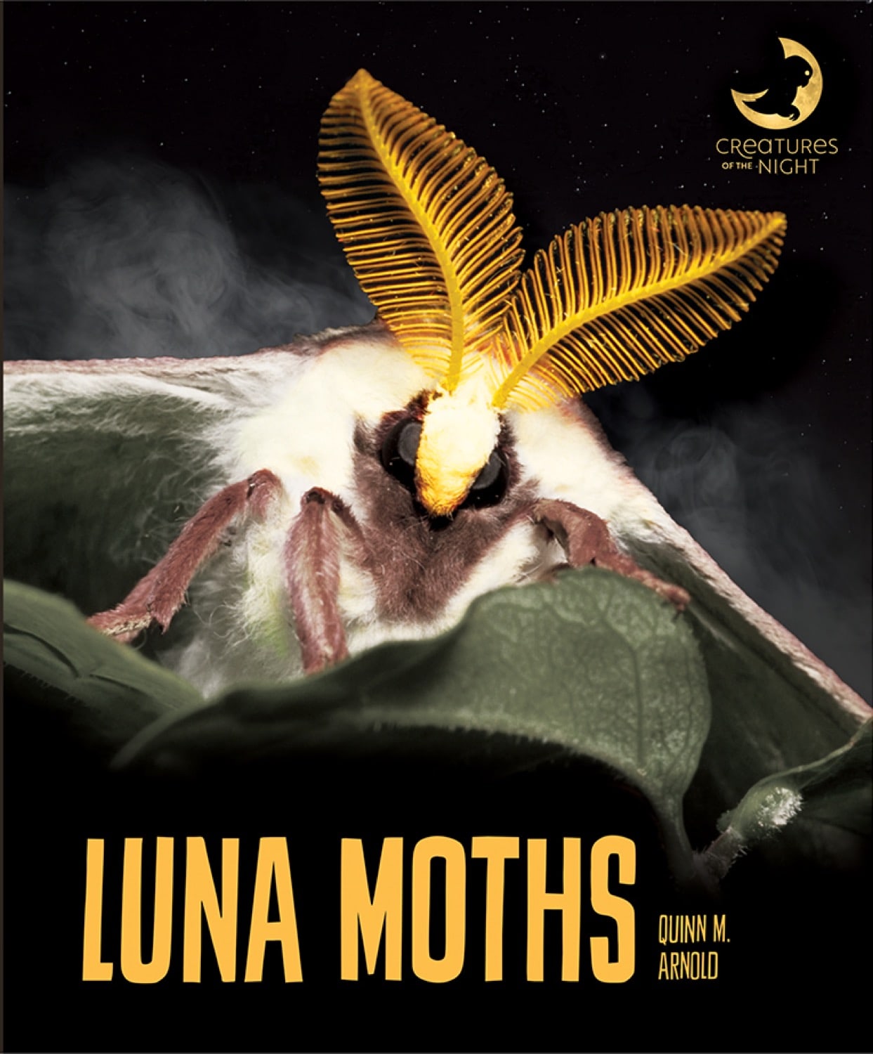 Luna Moths Book - ISBN 9781640261198 - Perfect for Nature Lovers & Entomology Enthusiasts