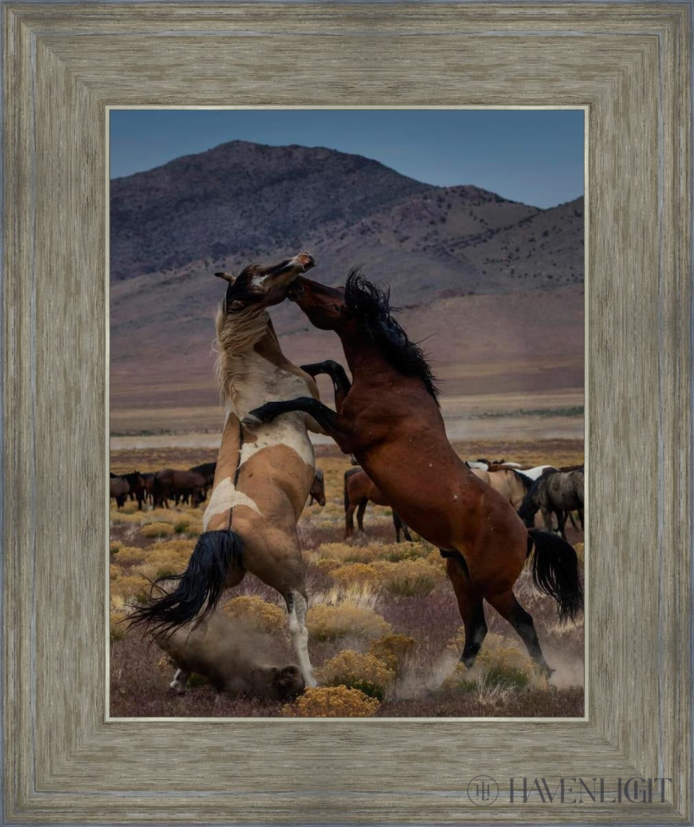 Desert Duel 1 by Greg Sargent - Western Adventure Novel for Adults | Perfect for Book Clubs, Gifts & Western Fiction Fans