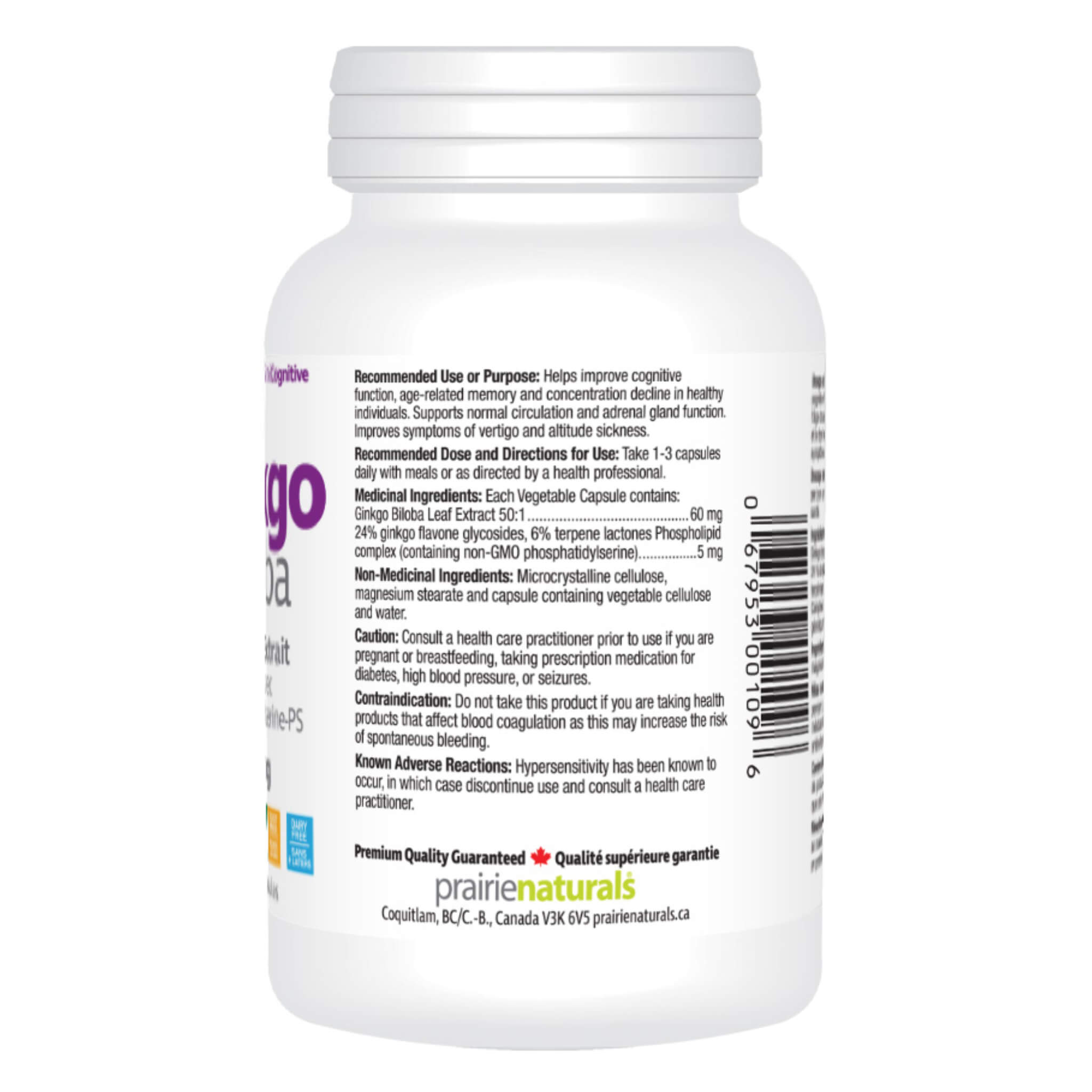 Premium Ginkgo Biloba Extract 120mg | 120 Capsules | Natural Brain Support Supplement | Memory & Focus Enhancer | Non-GMO, Gluten-Free | for Mental Clarity & Cognitive Function | Daily Wellness & Study Aid